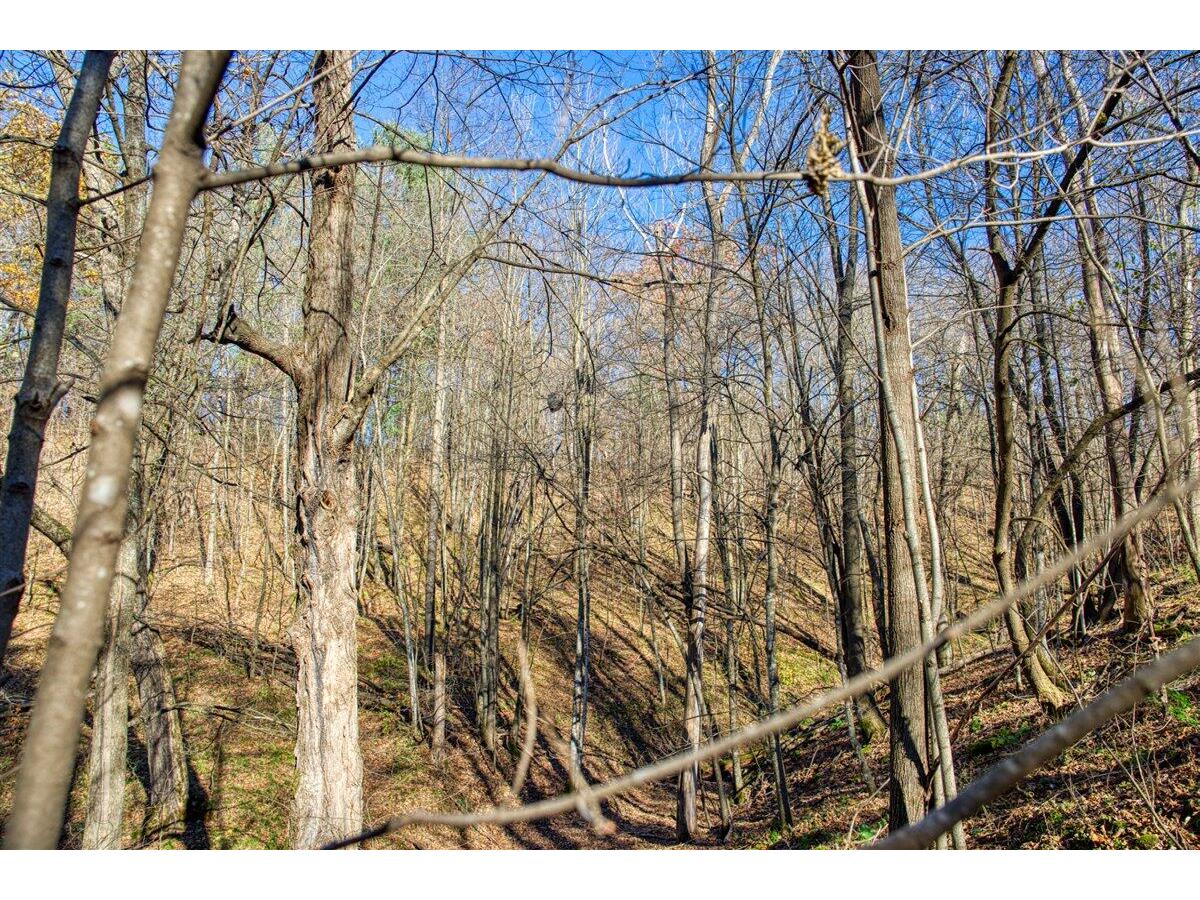 25024 Norhardt Wellington WI 54651 1942889 image44