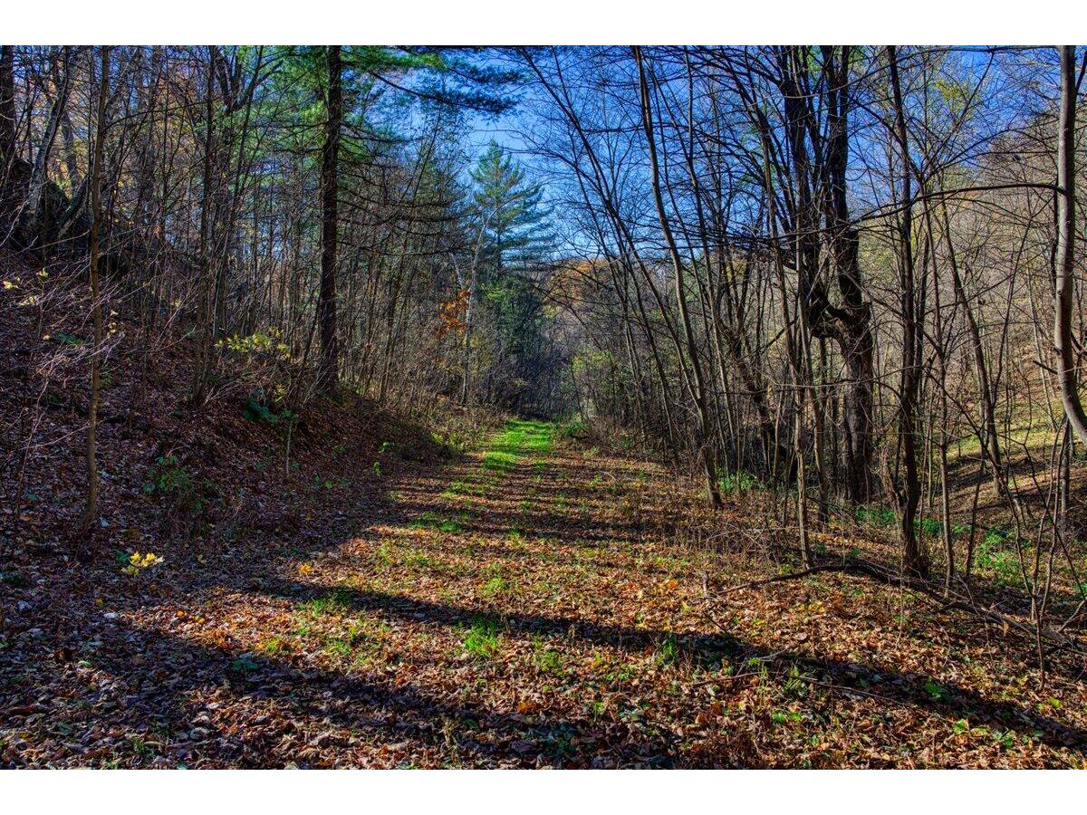 25024 Norhardt Wellington WI 54651 1942889 image45