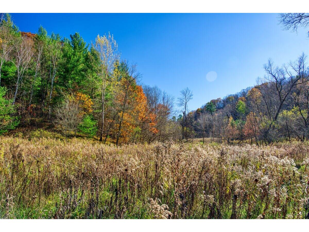 25024 Norhardt Wellington WI 54651 1942889 image47