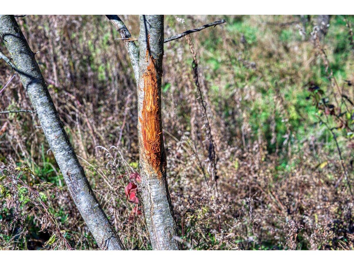 25024 Norhardt Wellington WI 54651 1942889 image49