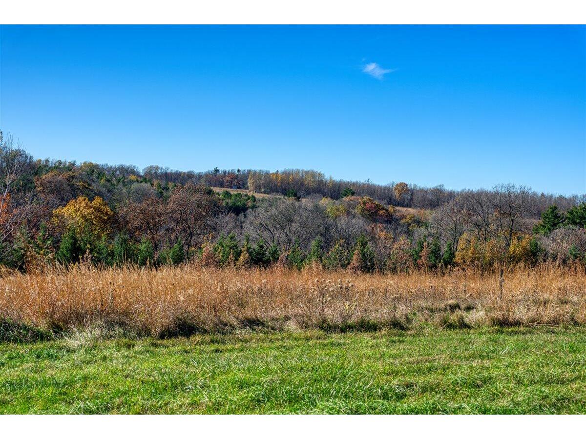 25024 Norhardt Wellington WI 54651 1942889 image5