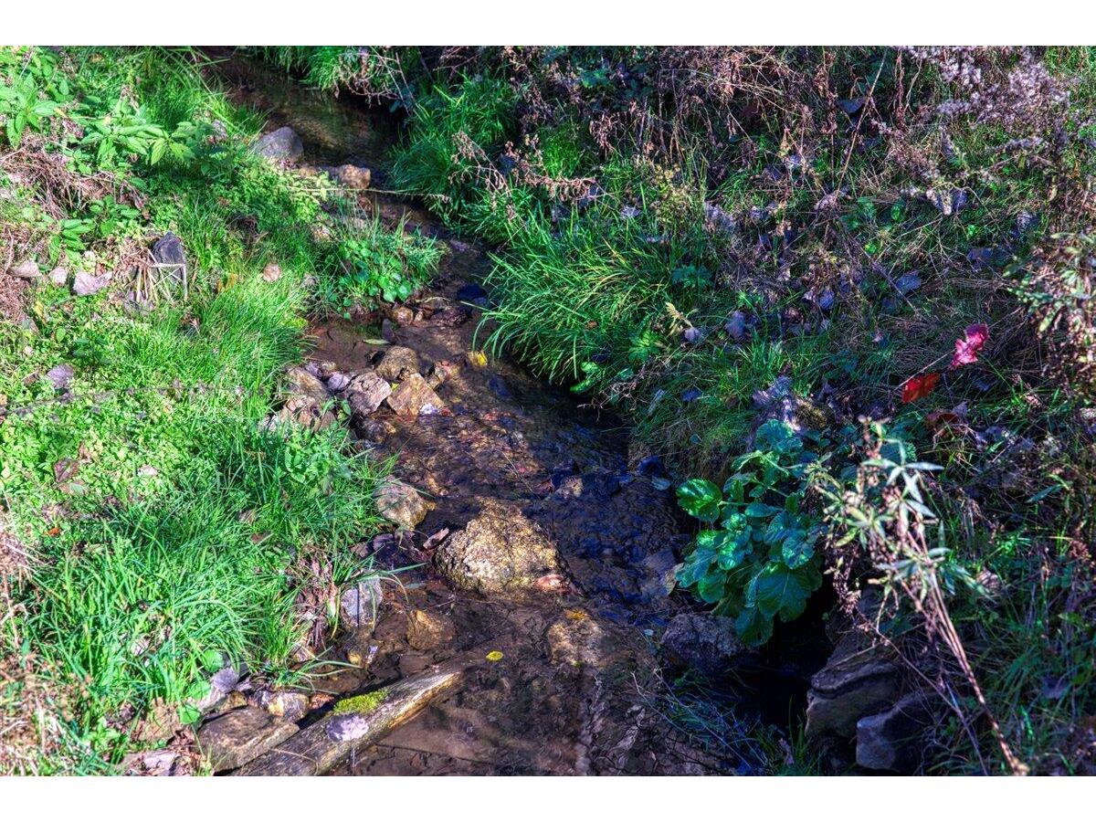 25024 Norhardt Wellington WI 54651 1942889 image50