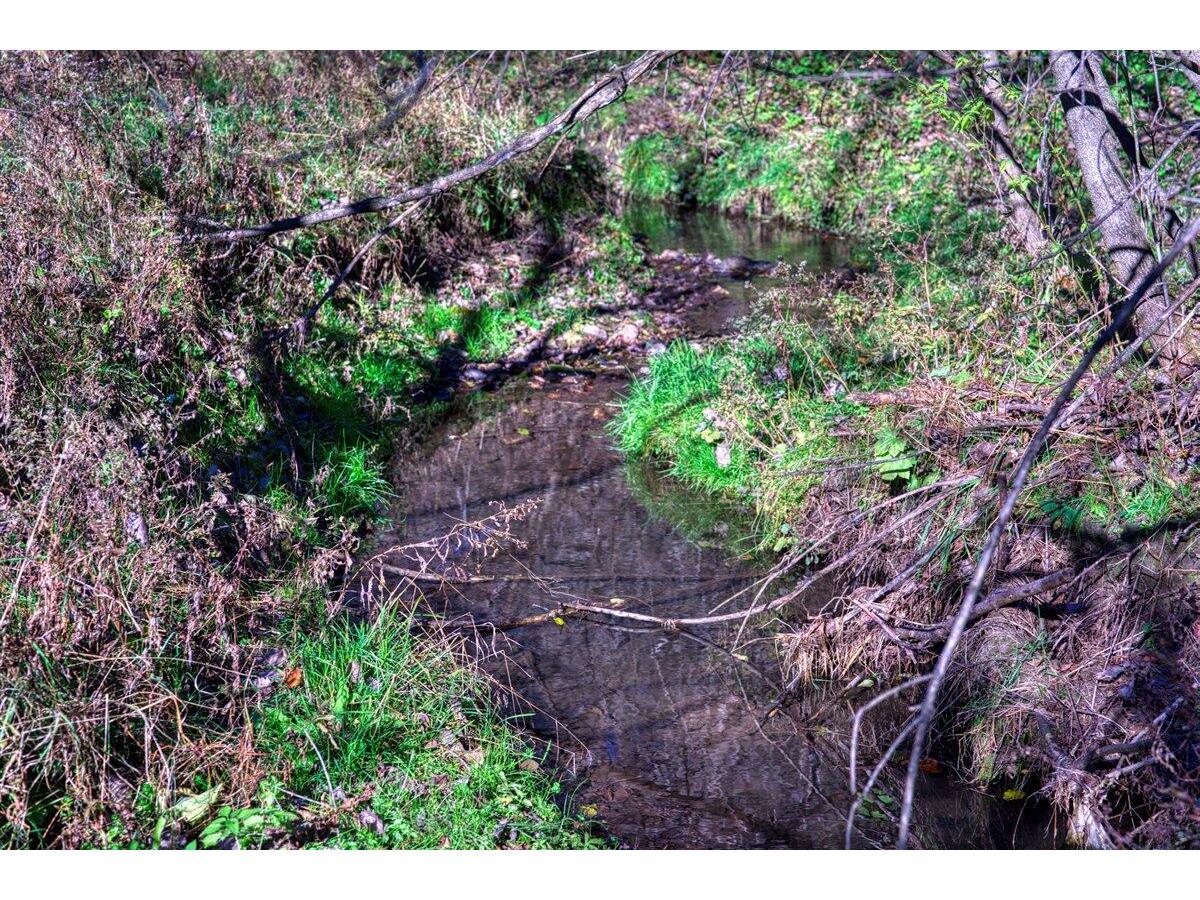 25024 Norhardt Wellington WI 54651 1942889 image51