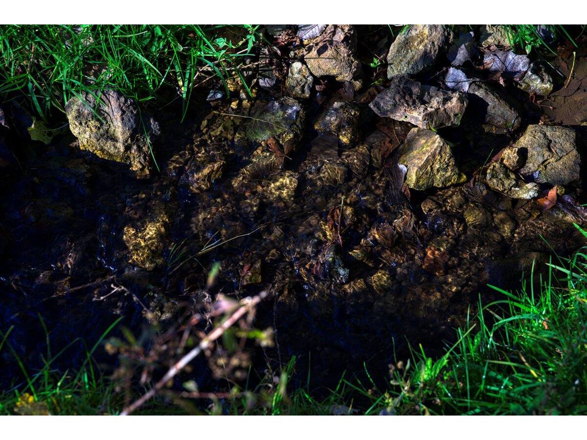 25024 Norhardt Wellington WI 54651 1942889 image52