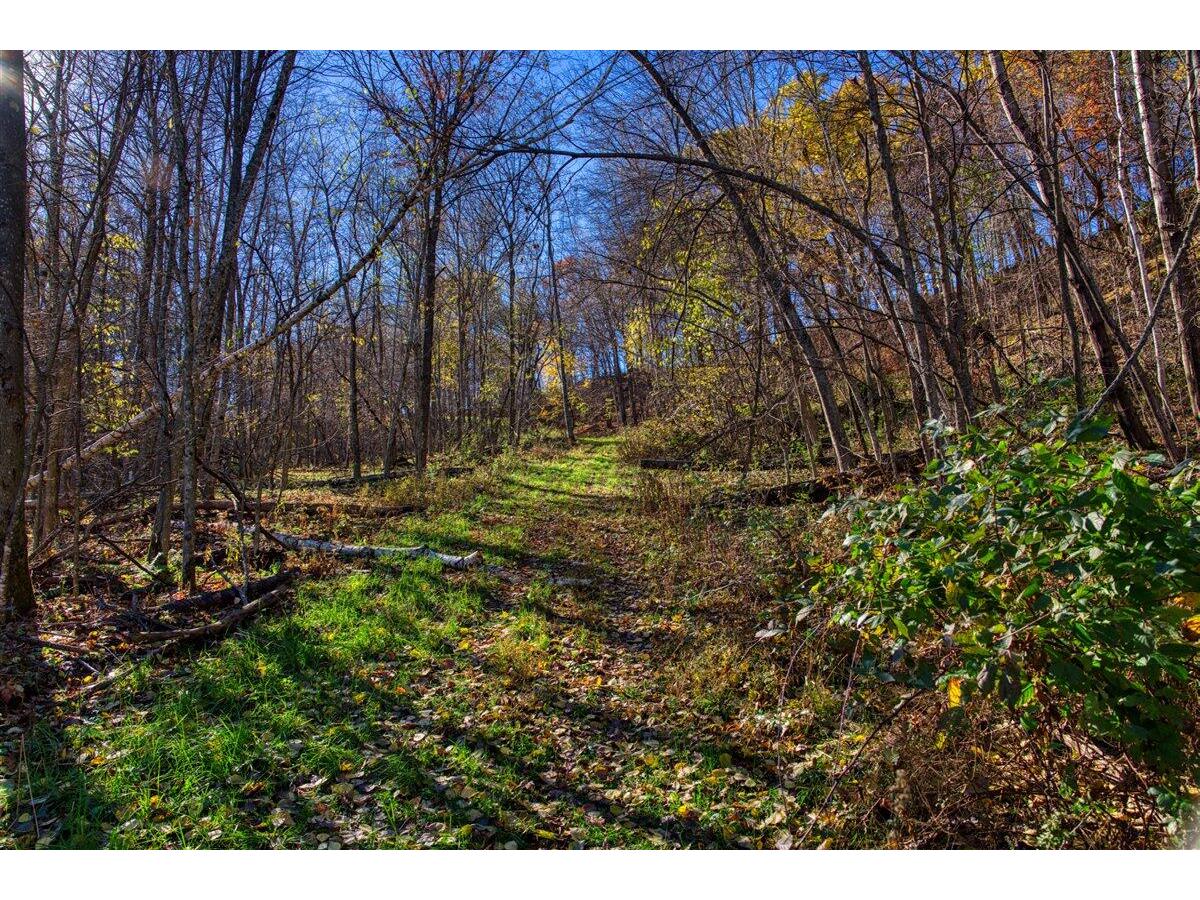 25024 Norhardt Wellington WI 54651 1942889 image53