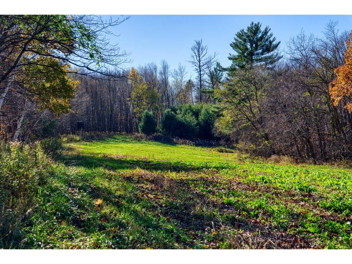 25024 Norhardt Wellington WI 54651 1942889 image54