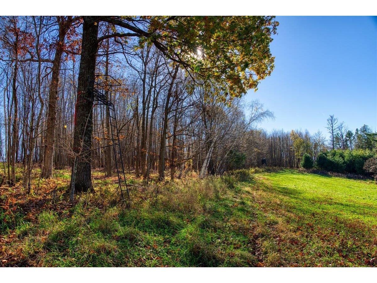 25024 Norhardt Wellington WI 54651 1942889 image55