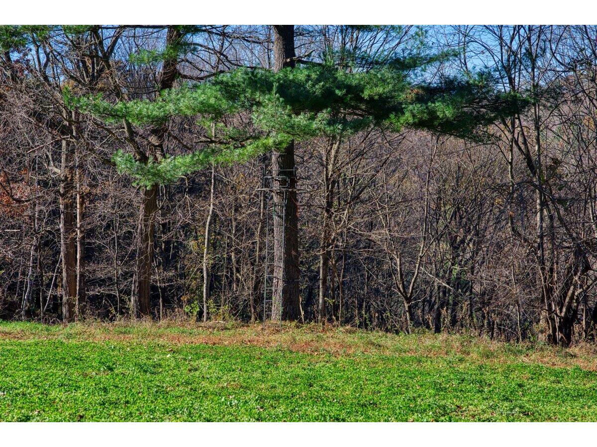 25024 Norhardt Wellington WI 54651 1942889 image56