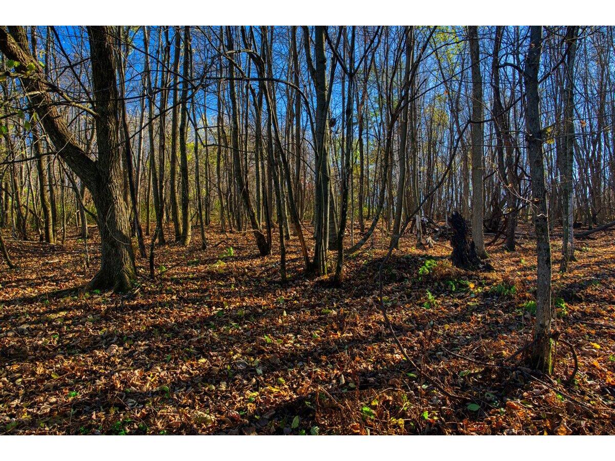 25024 Norhardt Wellington WI 54651 1942889 image58