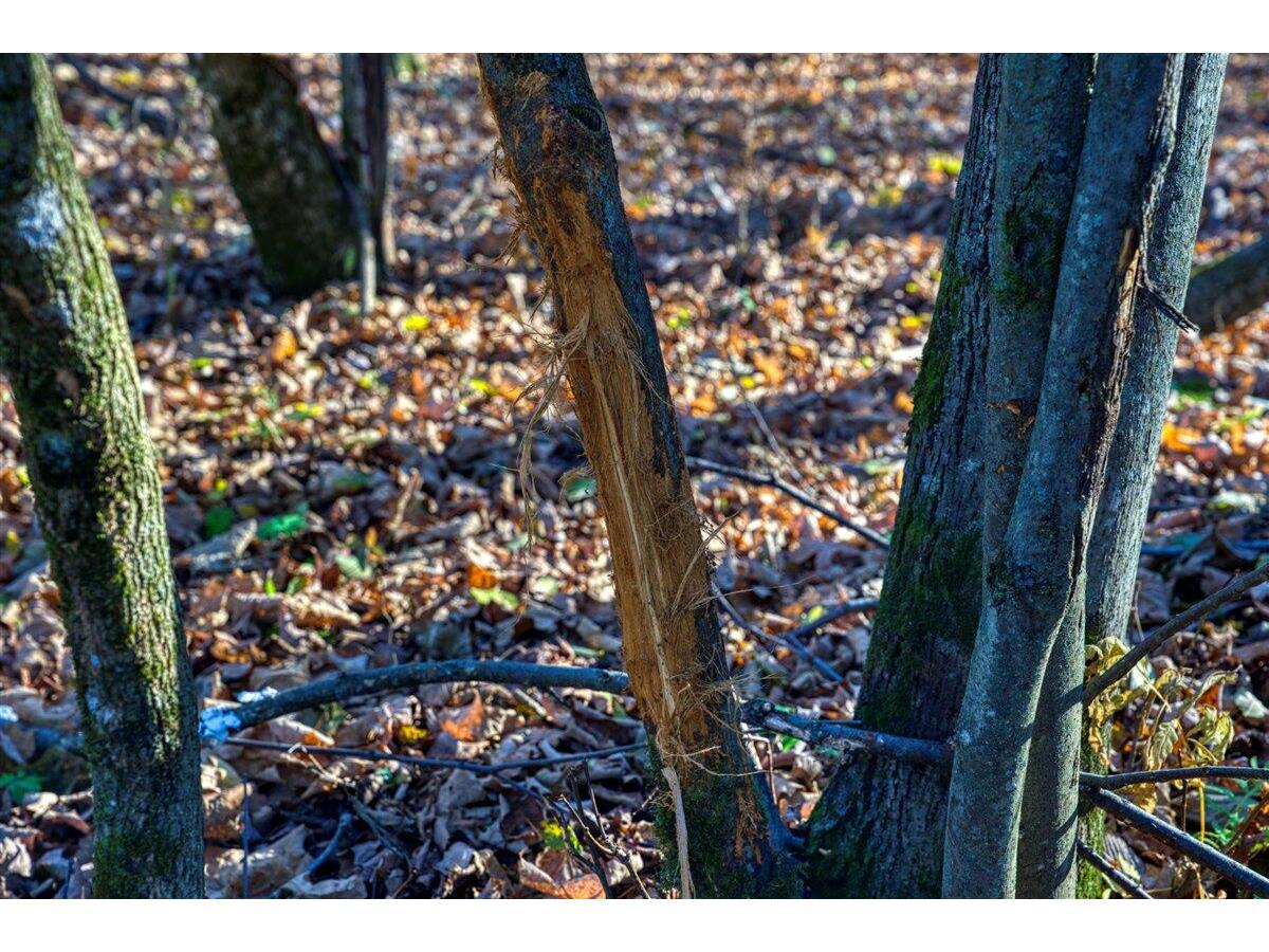 25024 Norhardt Wellington WI 54651 1942889 image59