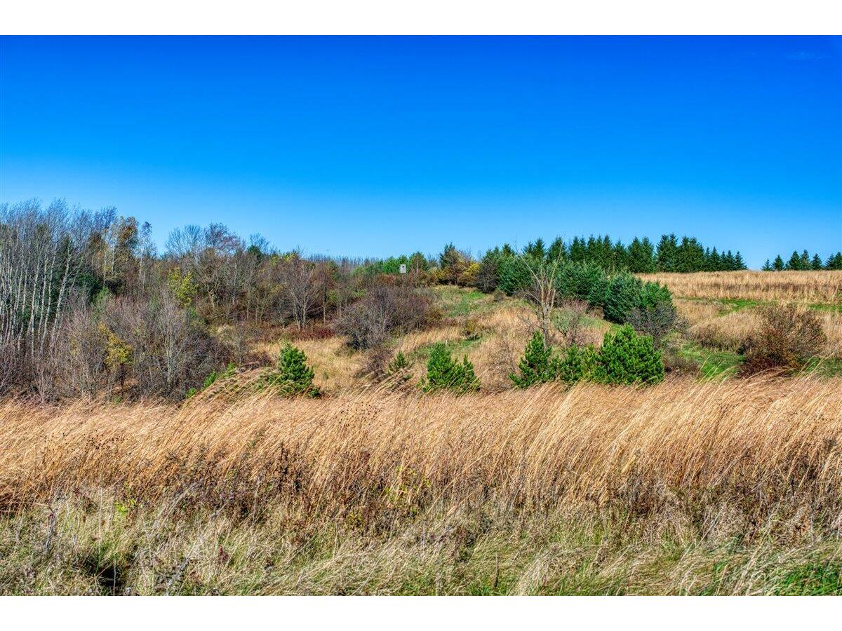 25024 Norhardt Wellington WI 54651 1942889 image6