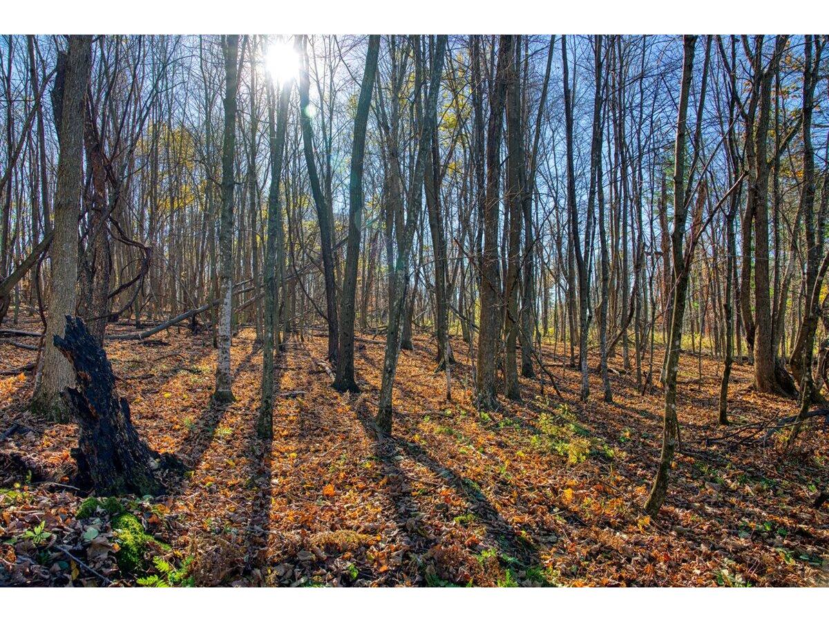 25024 Norhardt Wellington WI 54651 1942889 image60