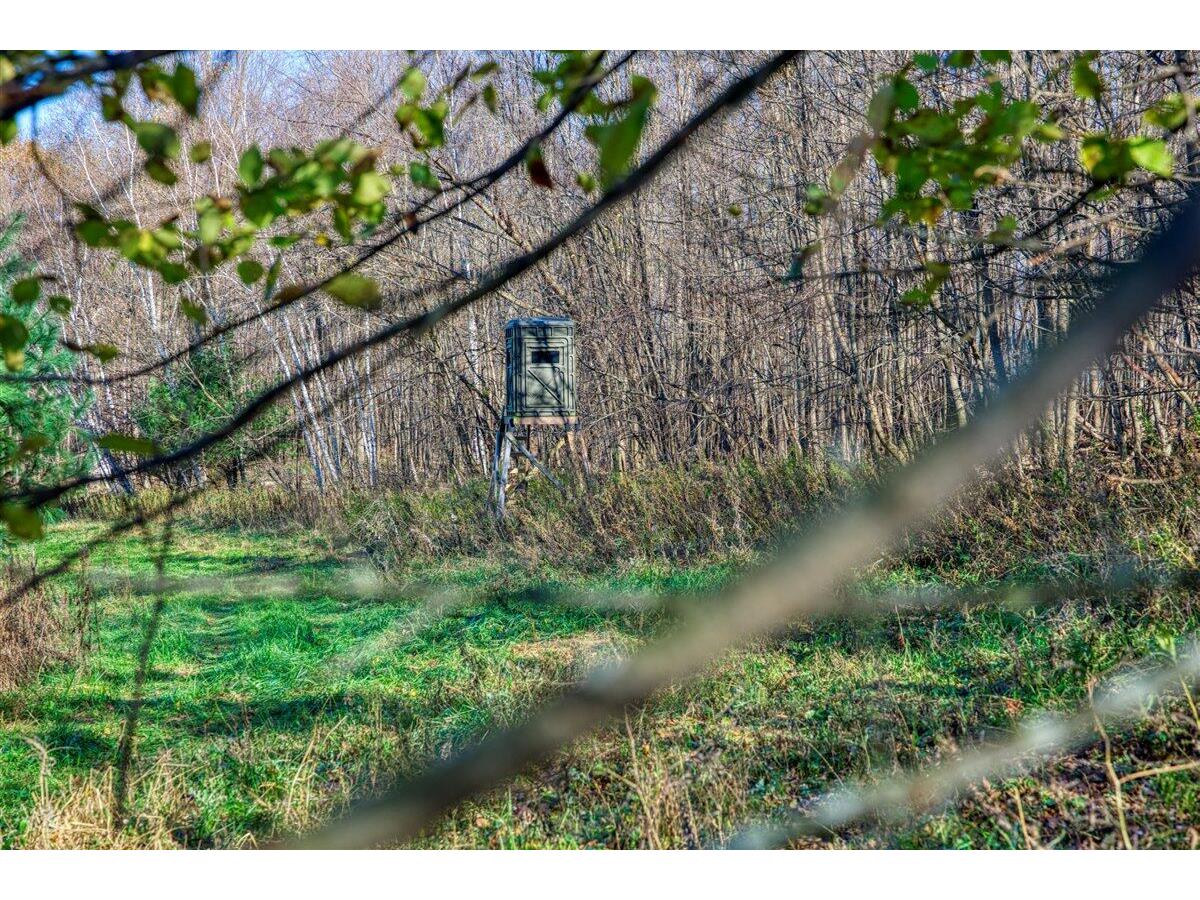 25024 Norhardt Wellington WI 54651 1942889 image61