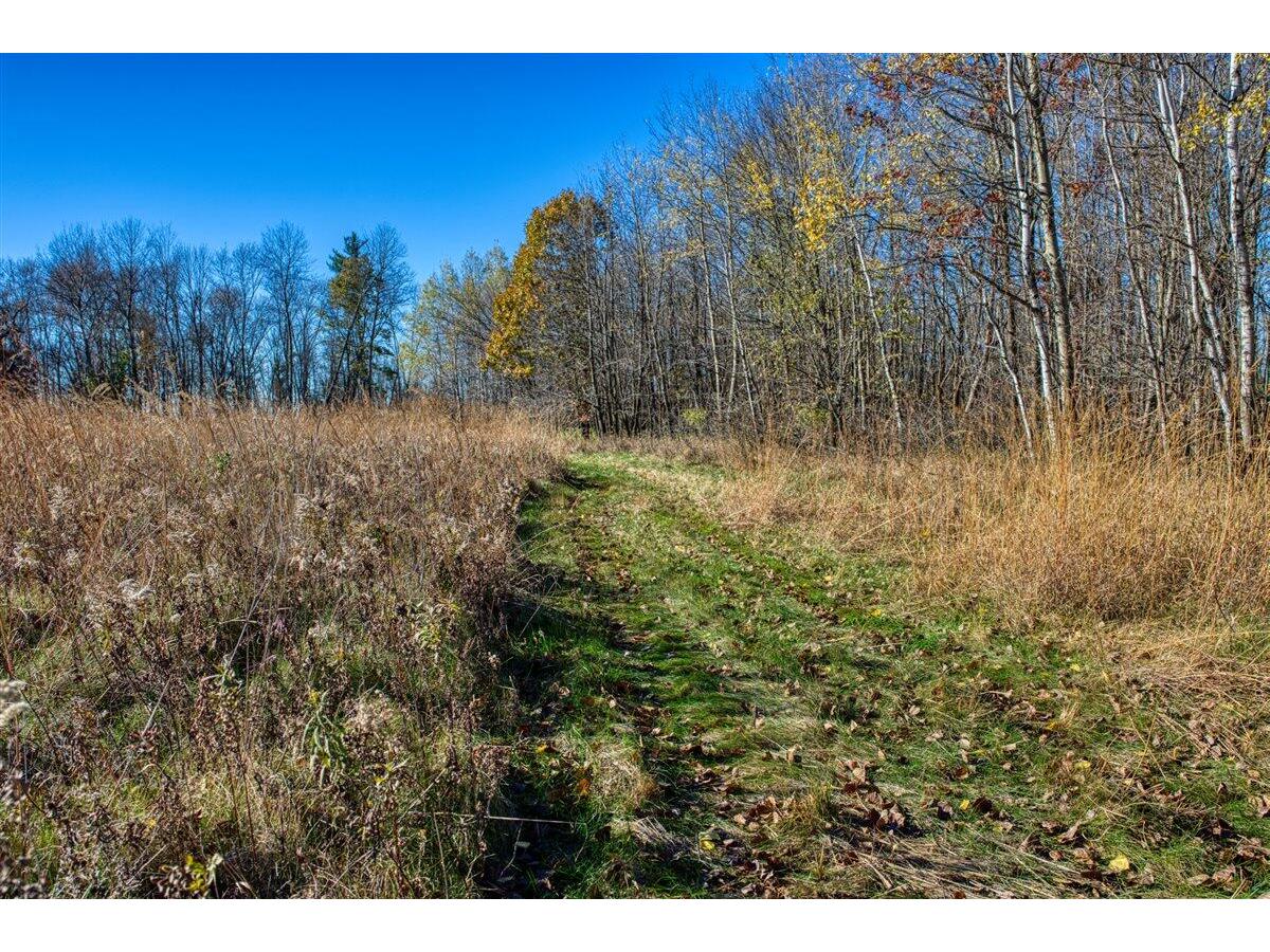 25024 Norhardt Wellington WI 54651 1942889 image63