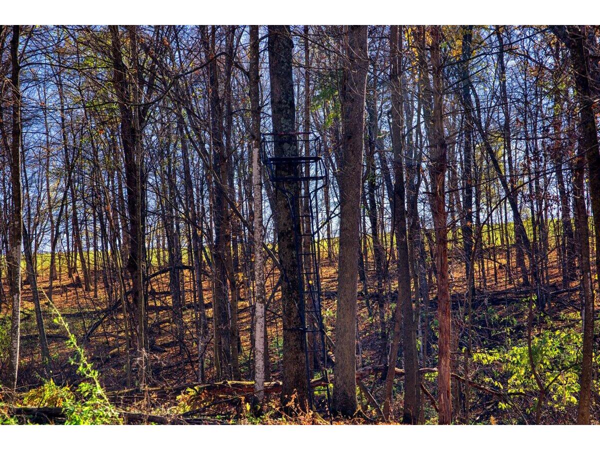 25024 Norhardt Wellington WI 54651 1942889 image64