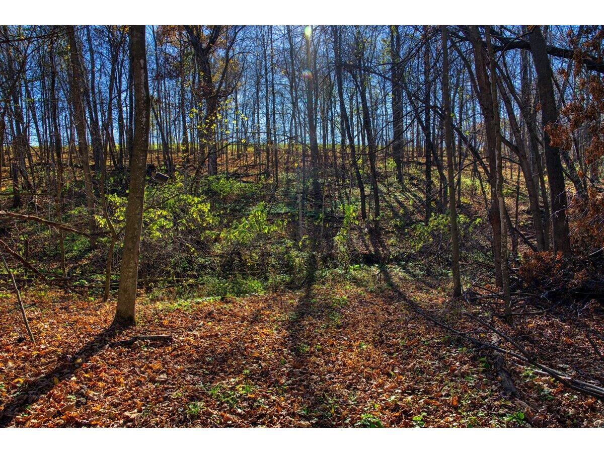 25024 Norhardt Wellington WI 54651 1942889 image65