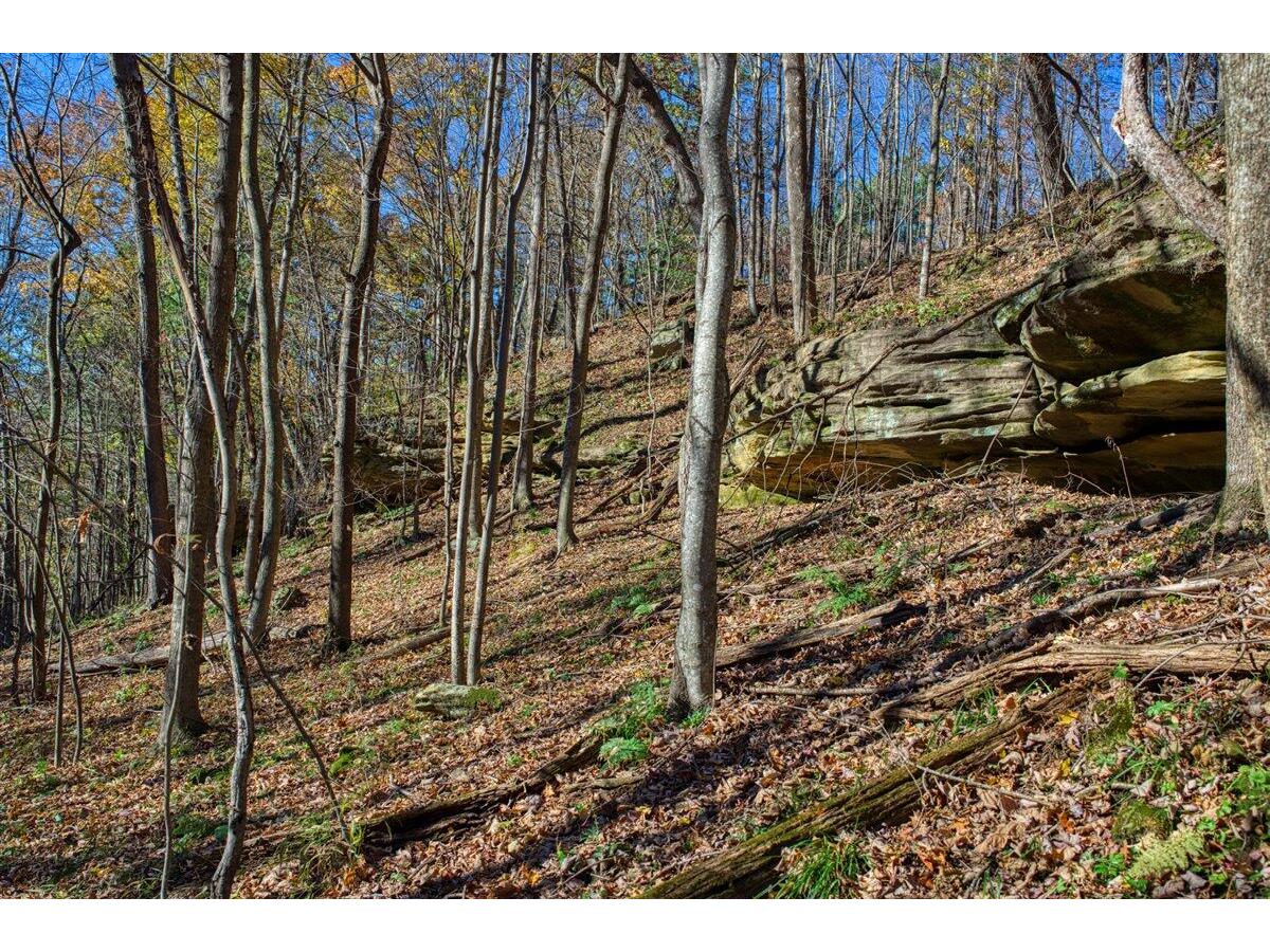 25024 Norhardt Wellington WI 54651 1942889 image66