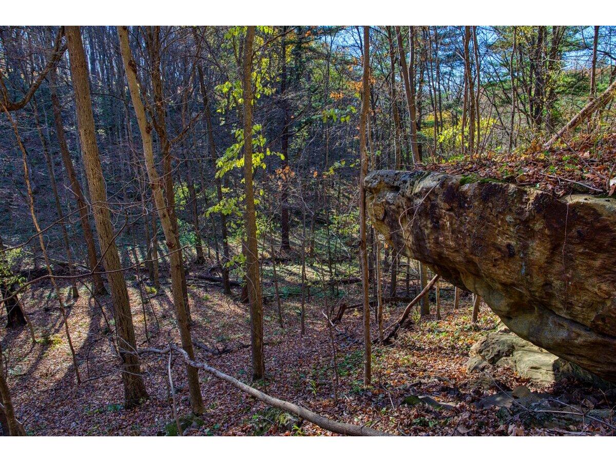 25024 Norhardt Wellington WI 54651 1942889 image67