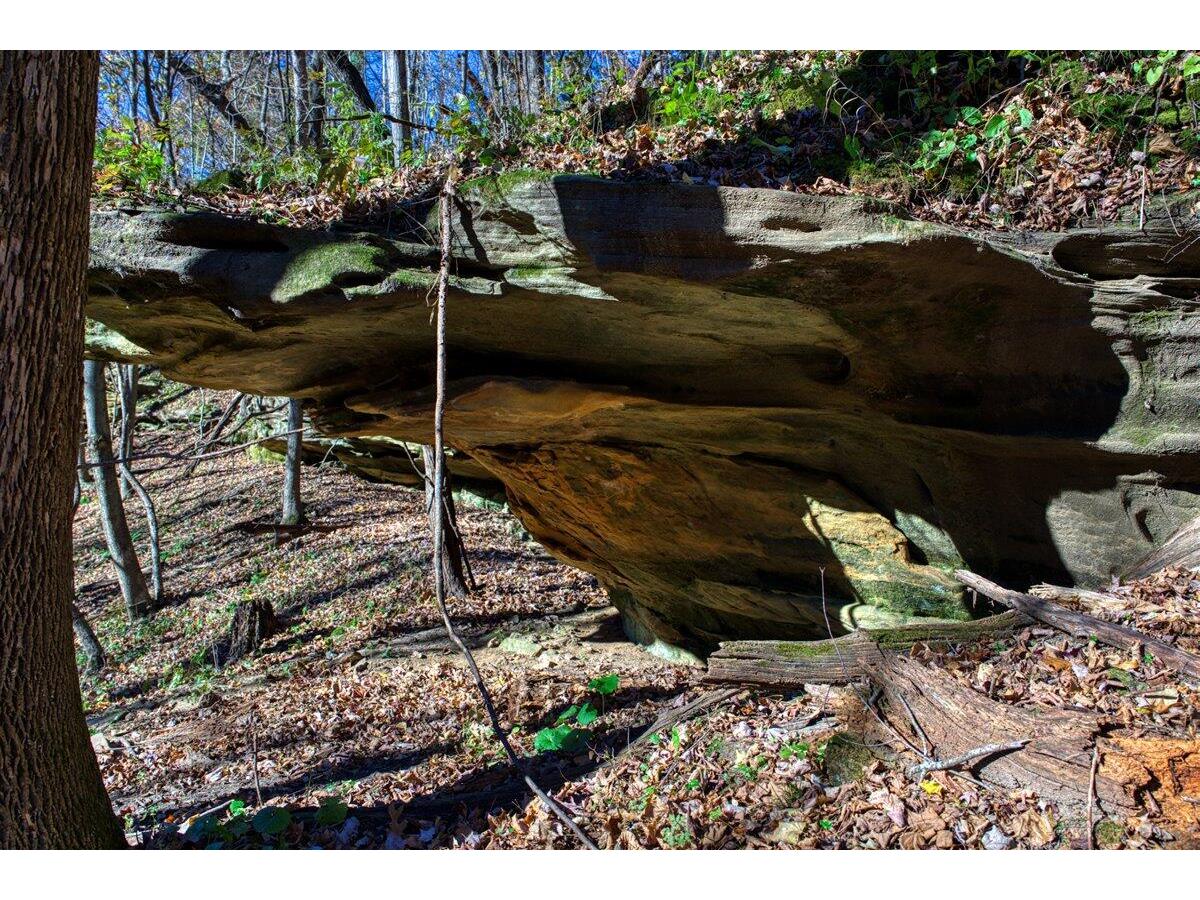 25024 Norhardt Wellington WI 54651 1942889 image68