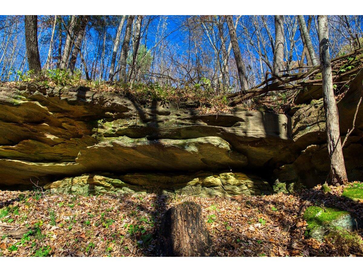 25024 Norhardt Wellington WI 54651 1942889 image69