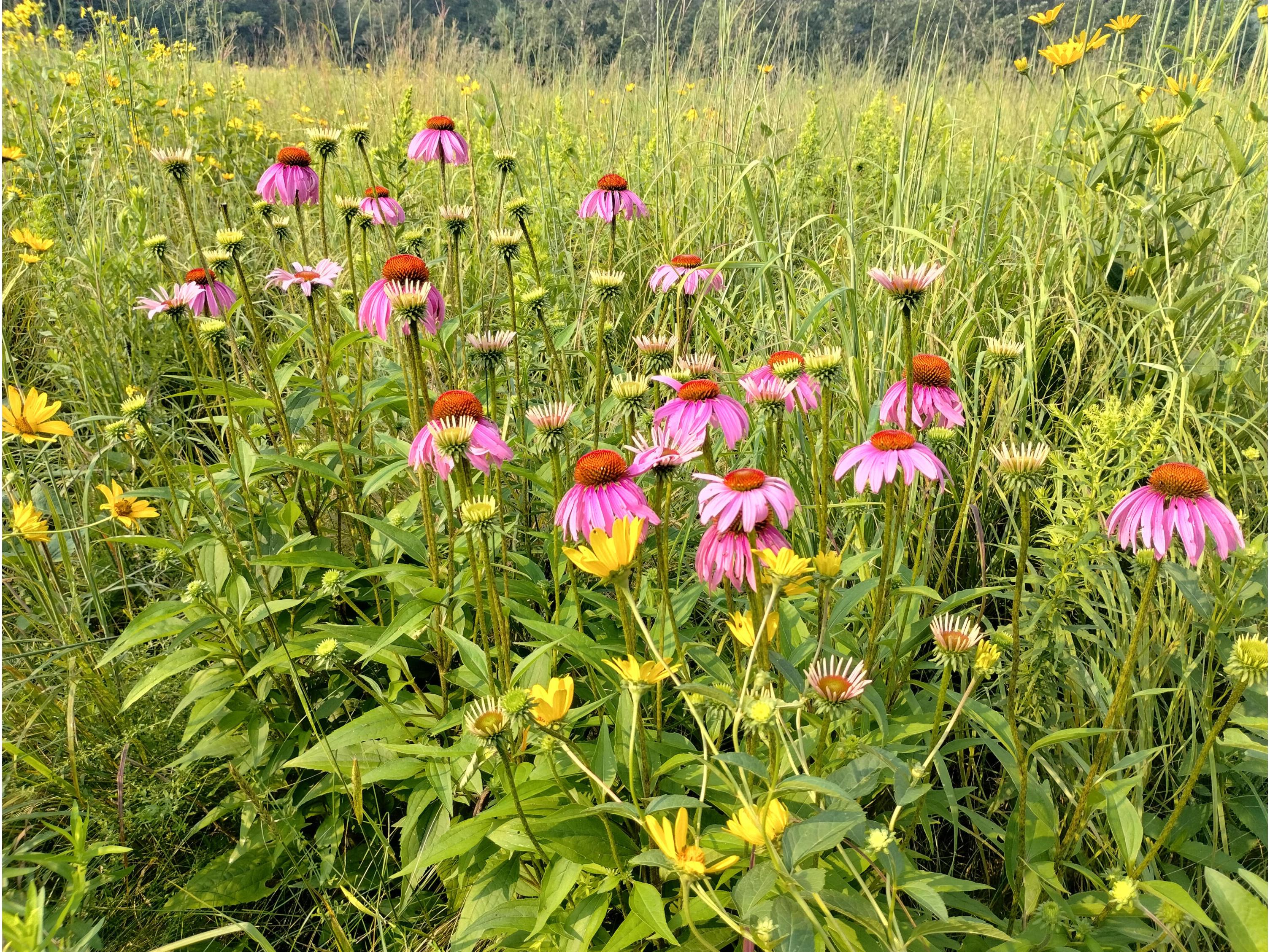 25024 Norhardt Wellington WI 54651 1942889 image7