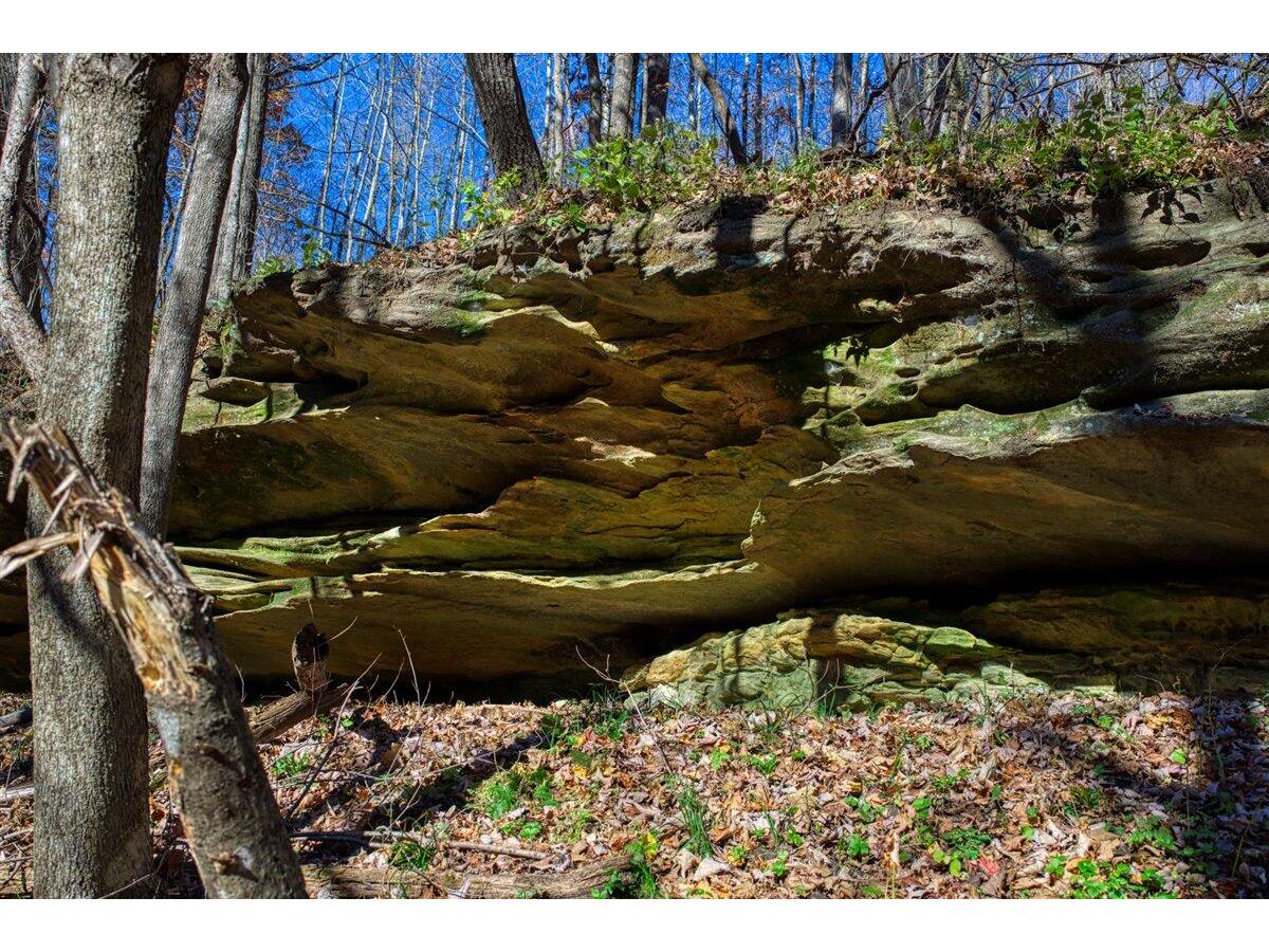 25024 Norhardt Wellington WI 54651 1942889 image70