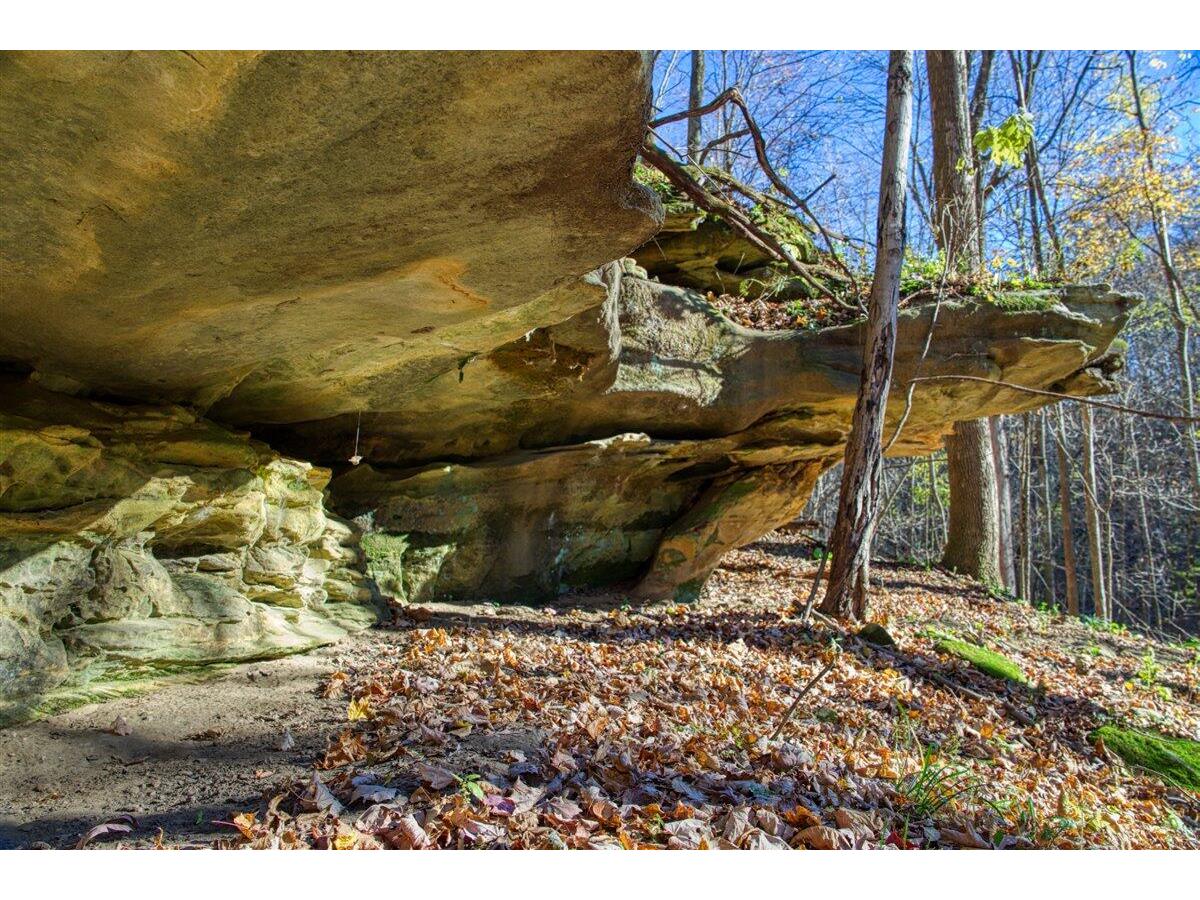 25024 Norhardt Wellington WI 54651 1942889 image71