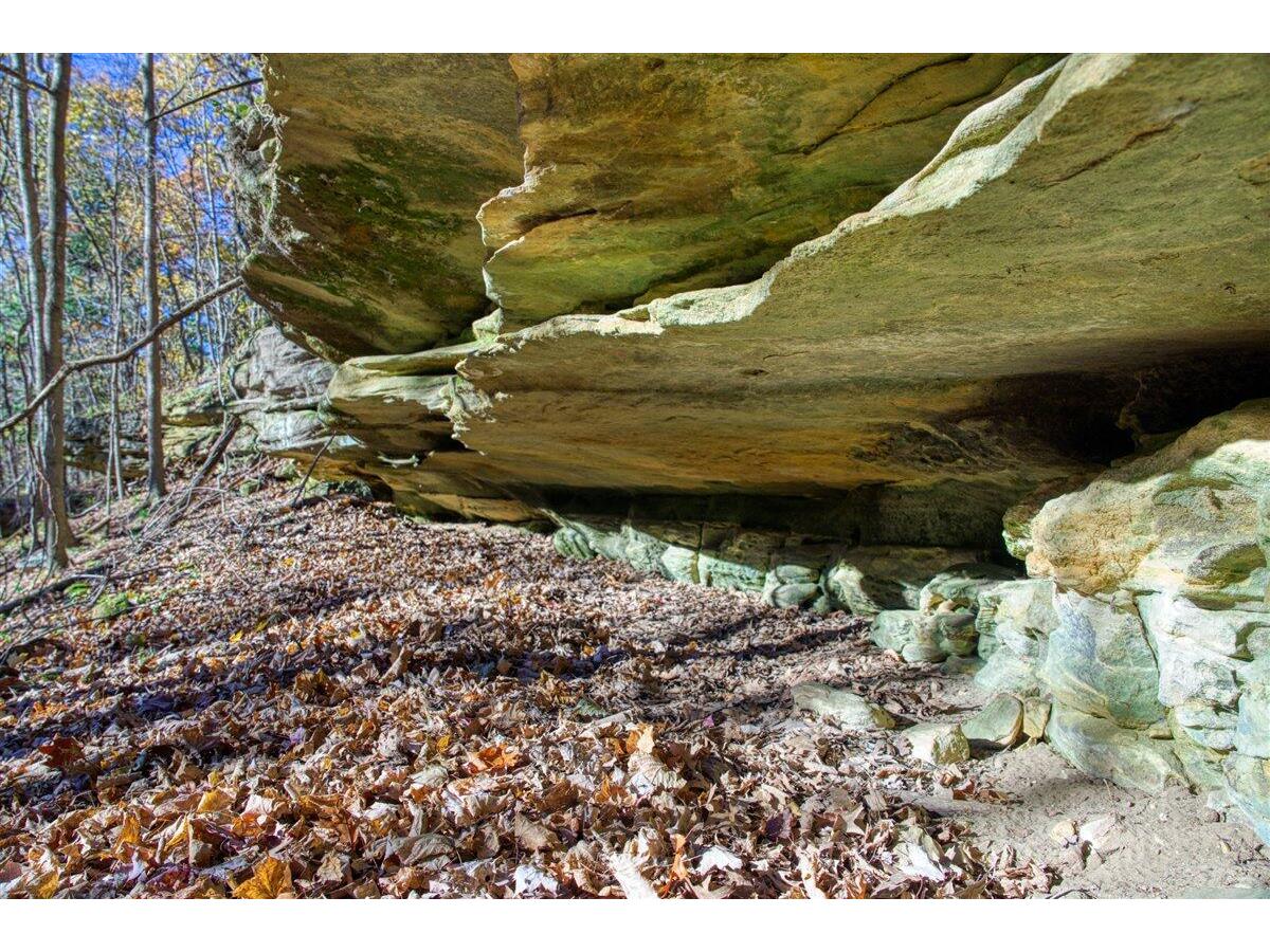 25024 Norhardt Wellington WI 54651 1942889 image72