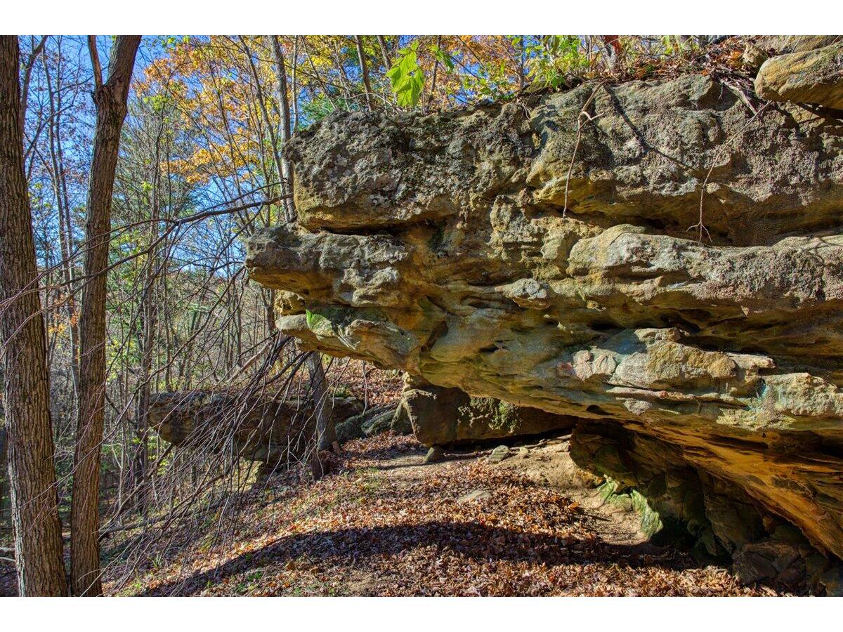 25024 Norhardt Wellington WI 54651 1942889 image73