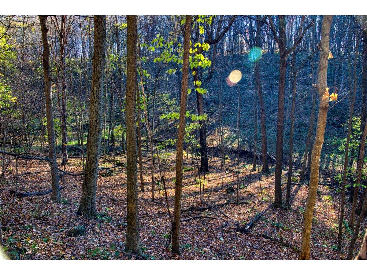 25024 Norhardt Wellington WI 54651 1942889 image74