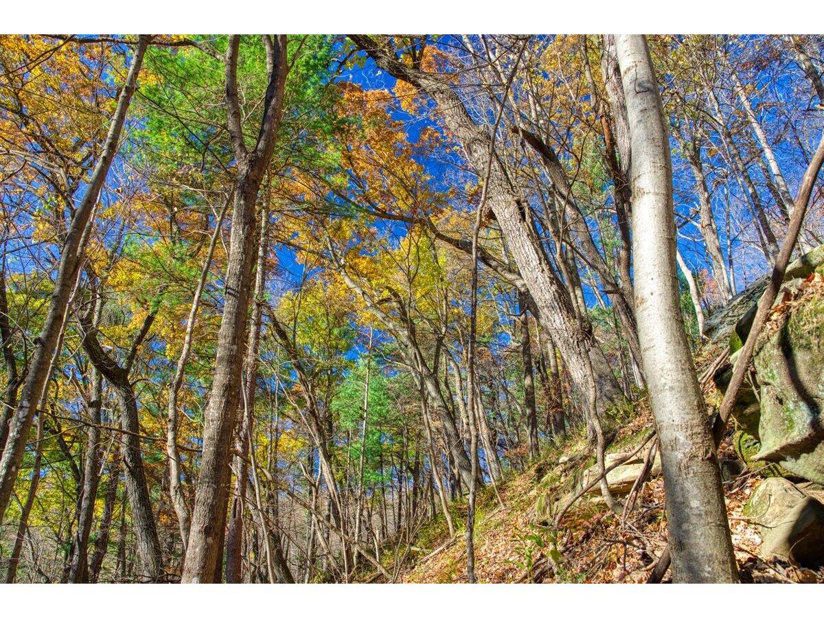 25024 Norhardt Wellington WI 54651 1942889 image75