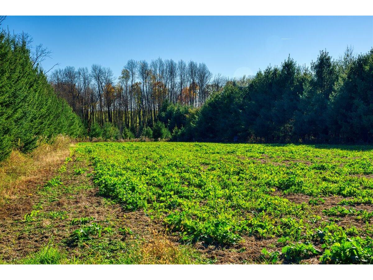 25024 Norhardt Wellington WI 54651 1942889 image76