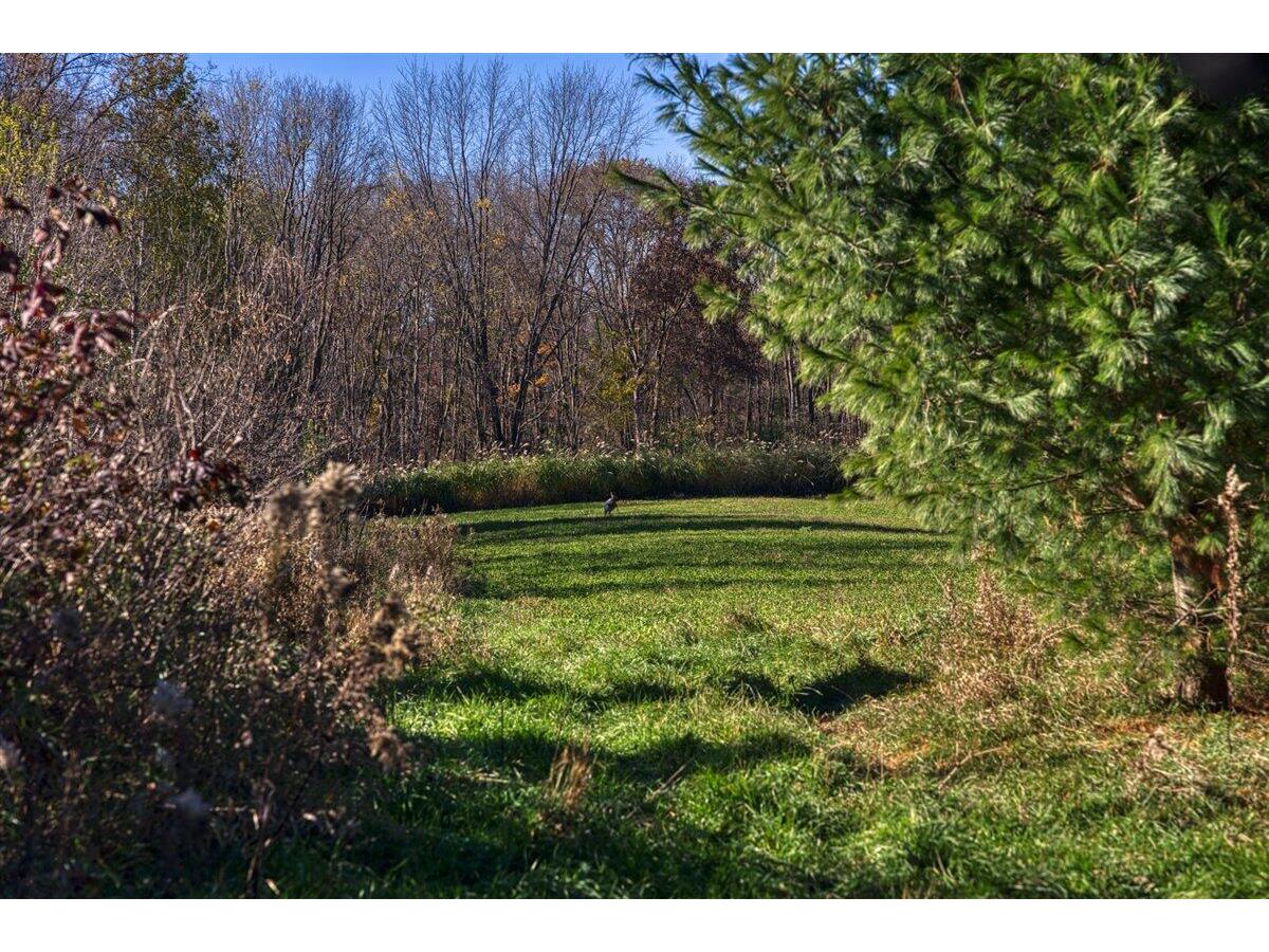 25024 Norhardt Wellington WI 54651 1942889 image78