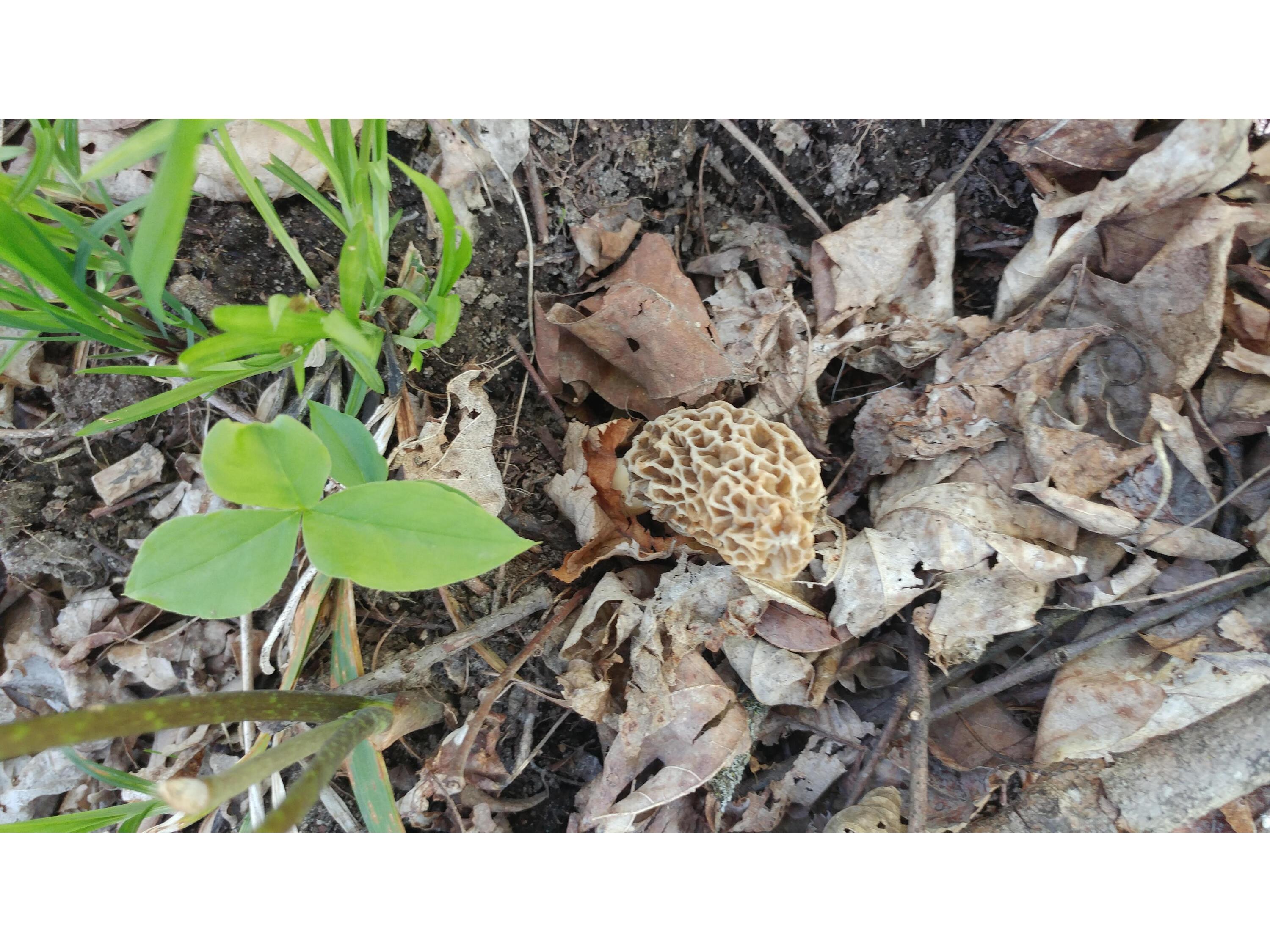 25024 Norhardt Wellington WI 54651 1942889 image8