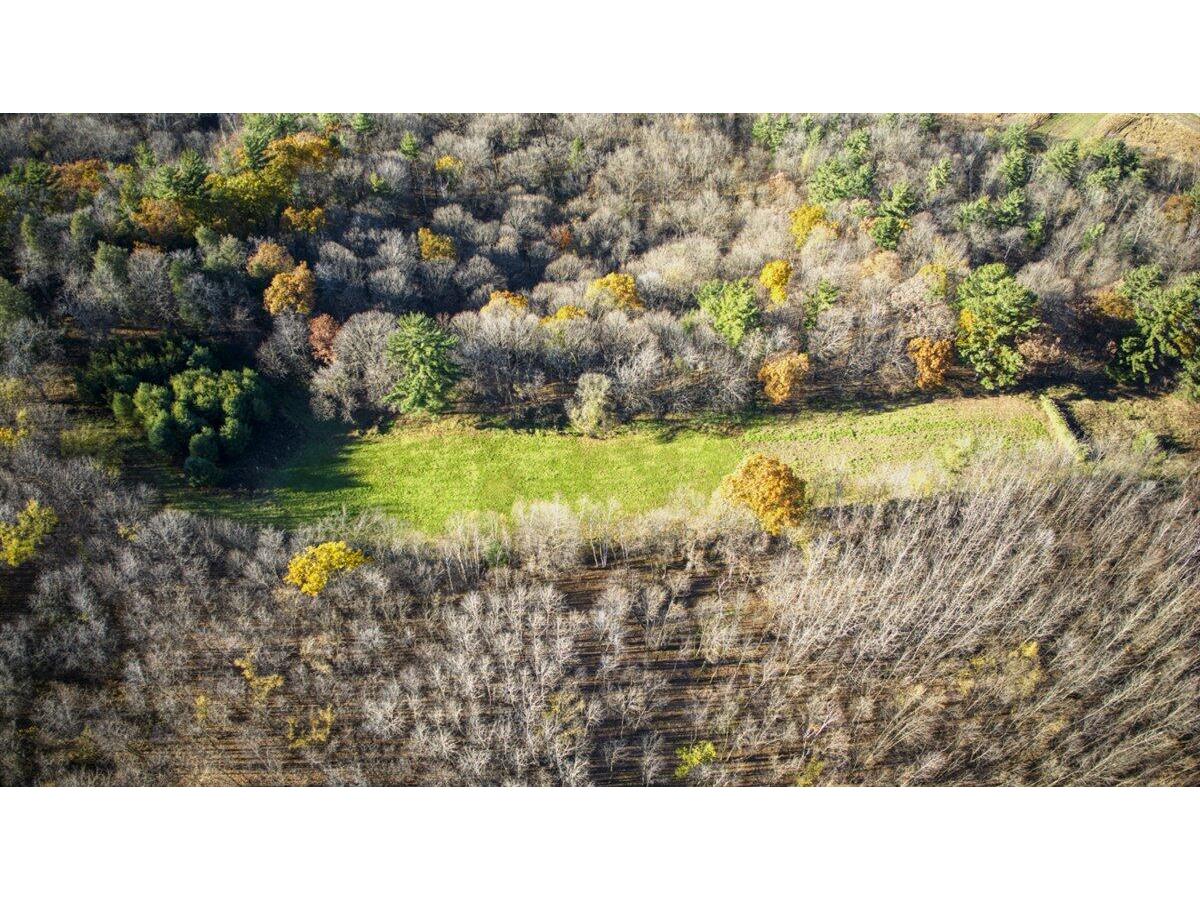 25024 Norhardt Wellington WI 54651 1942889 image86