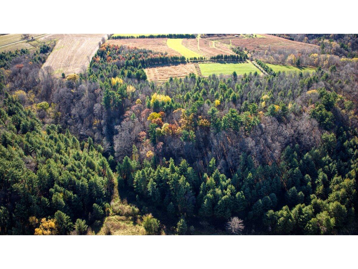 25024 Norhardt Wellington WI 54651 1942889 image89