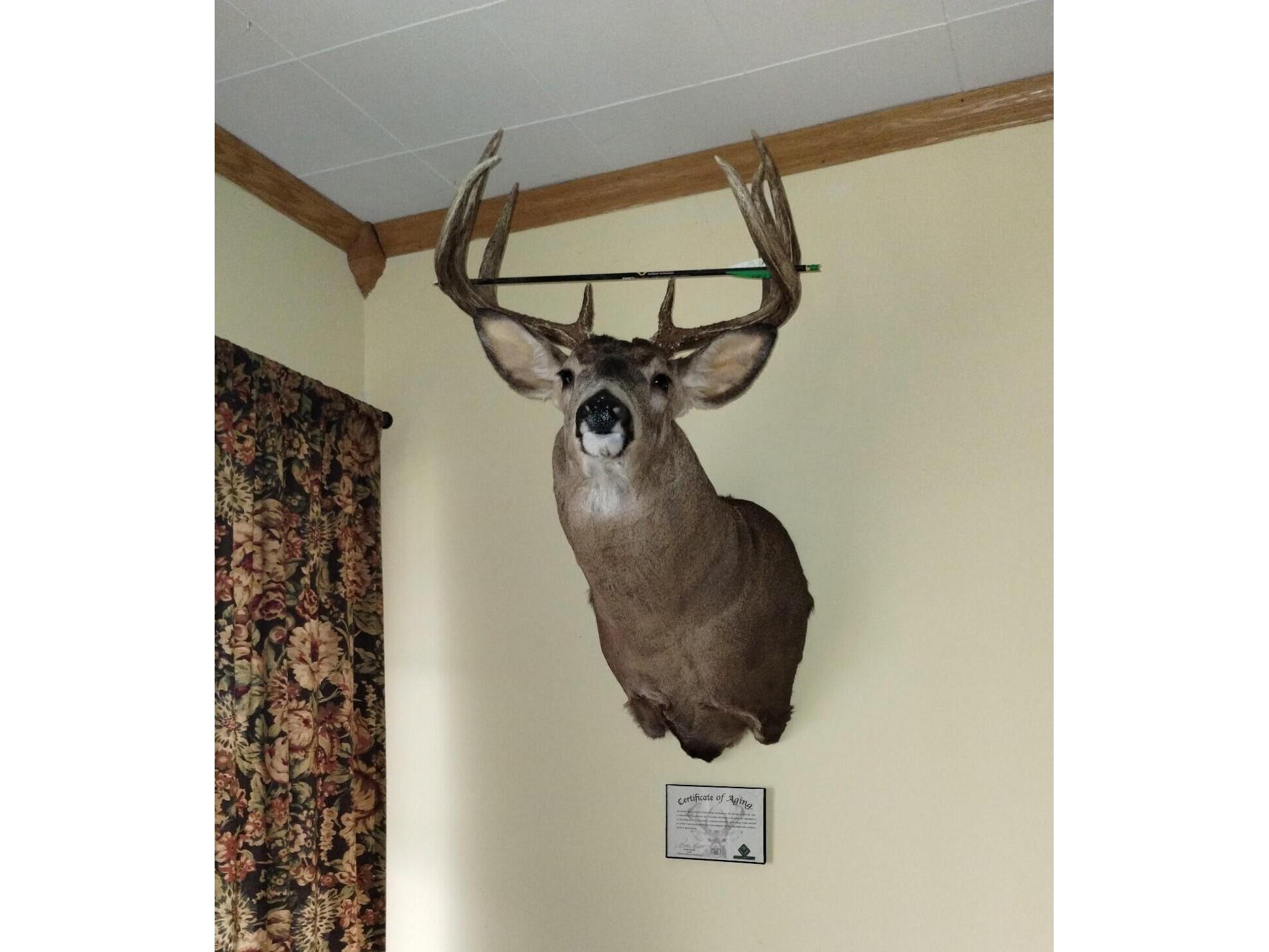 25024 Norhardt Wellington WI 54651 1942889 image9