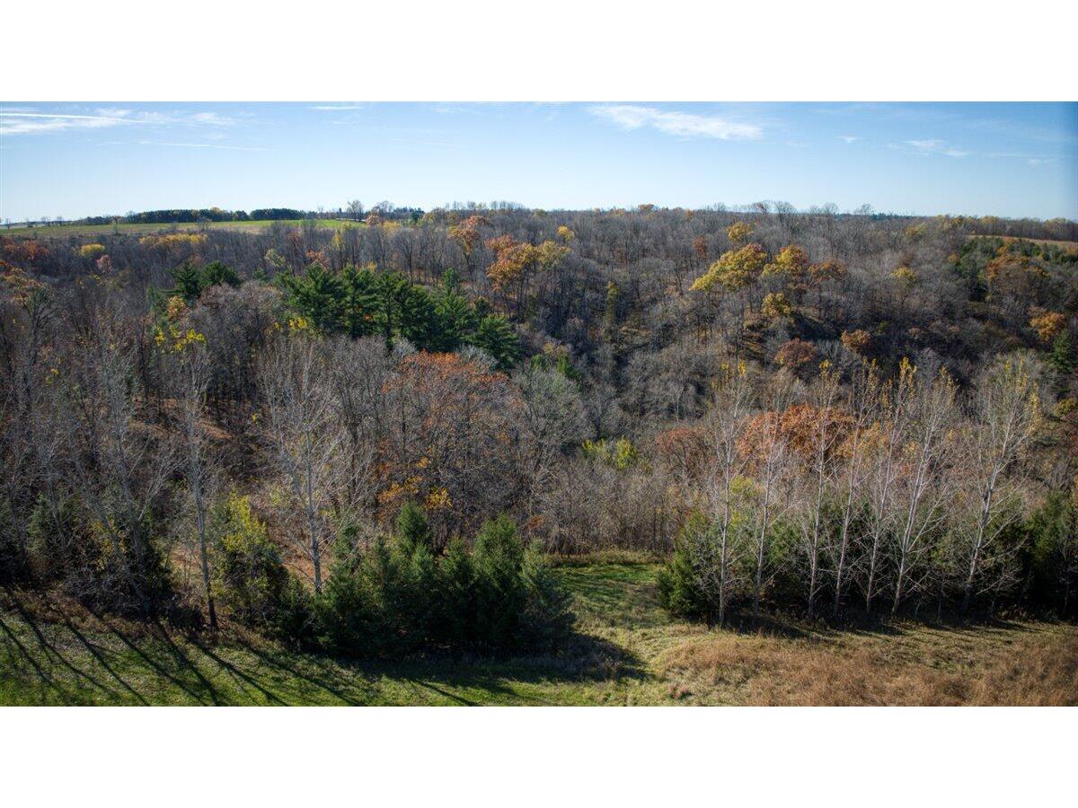 25024 Norhardt Wellington WI 54651 1942889 image93