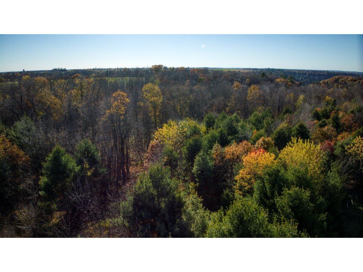 25024 Norhardt Wellington WI 54651 1942889 image95