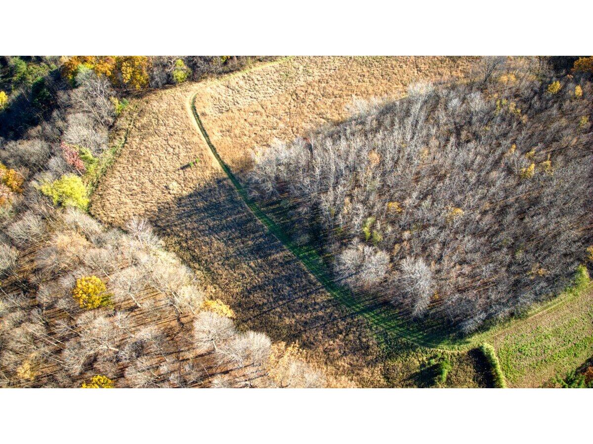 25024 Norhardt Wellington WI 54651 1942889 image97