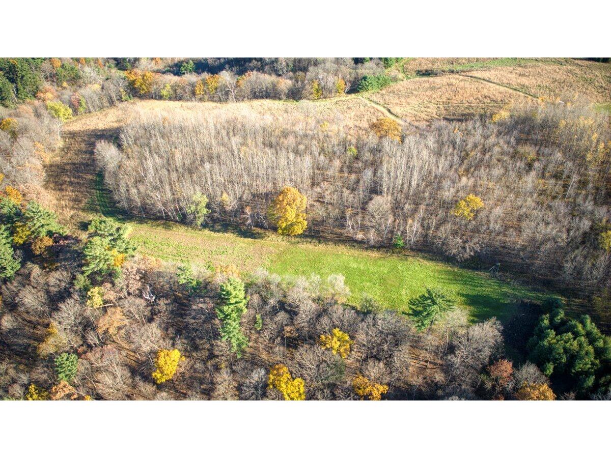 25024 Norhardt Wellington WI 54651 1942889 image99