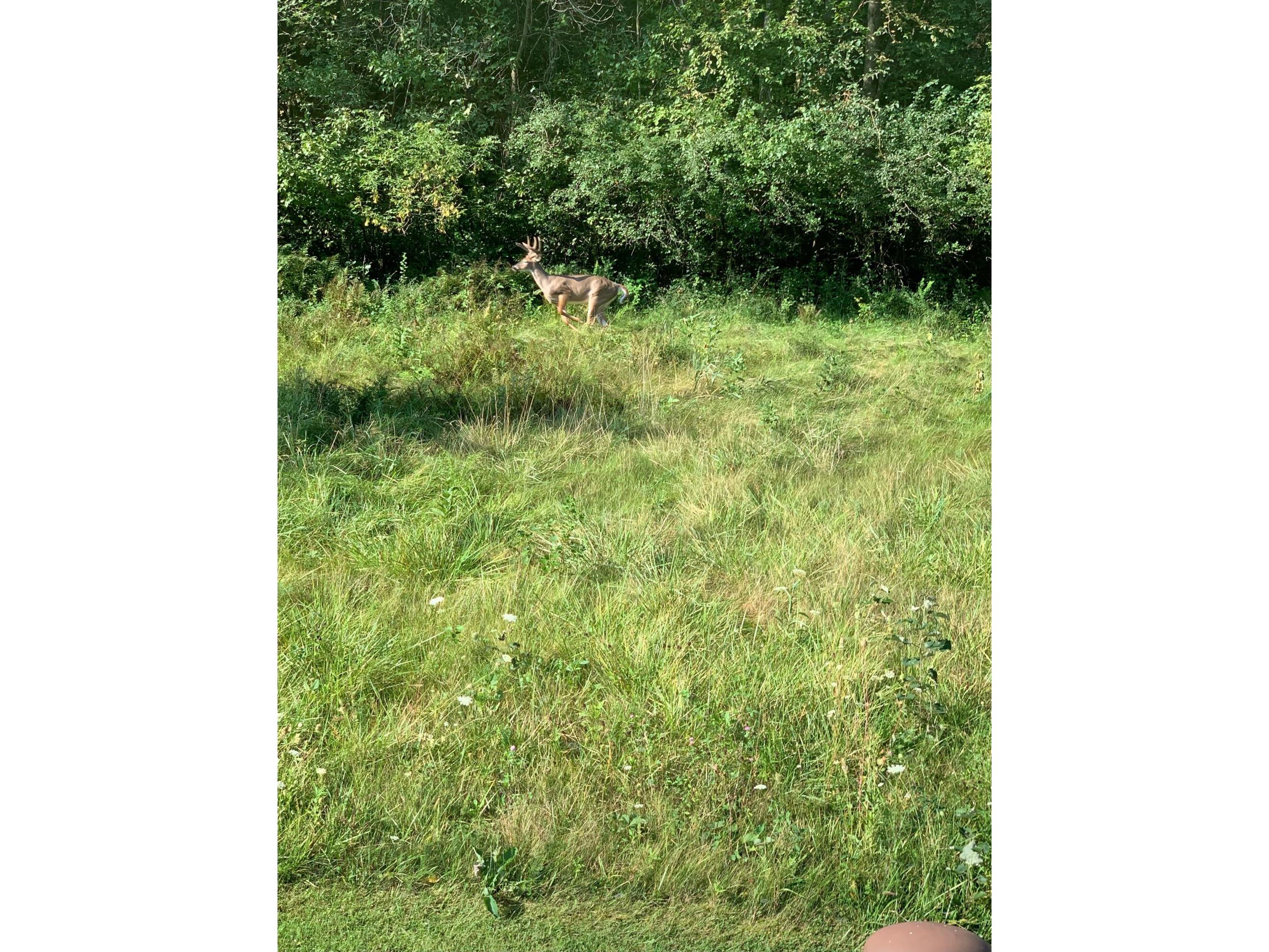 25635 Stewart Valley, Rollingstone, MN, 55987 MLS 7626300 Edina Realty