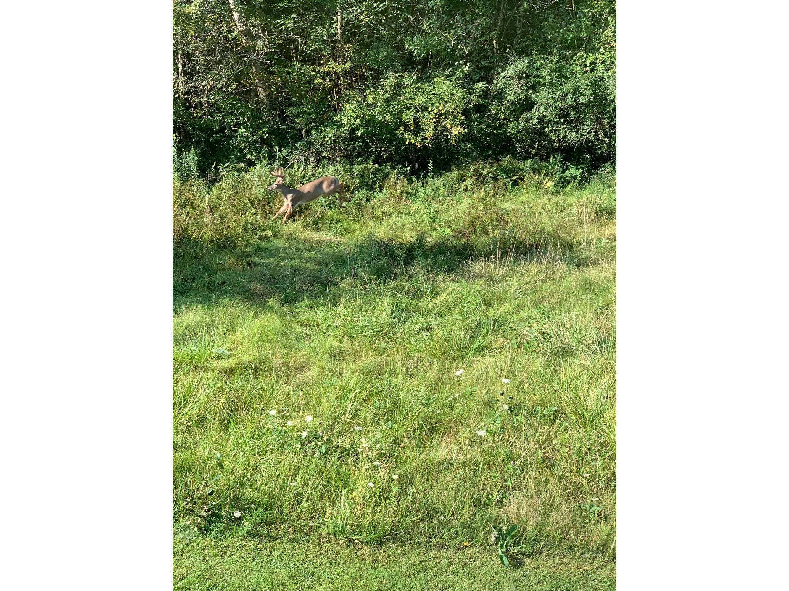 25635 Stewart Valley, Rollingstone, MN, 55987 MLS 7626300 Edina Realty