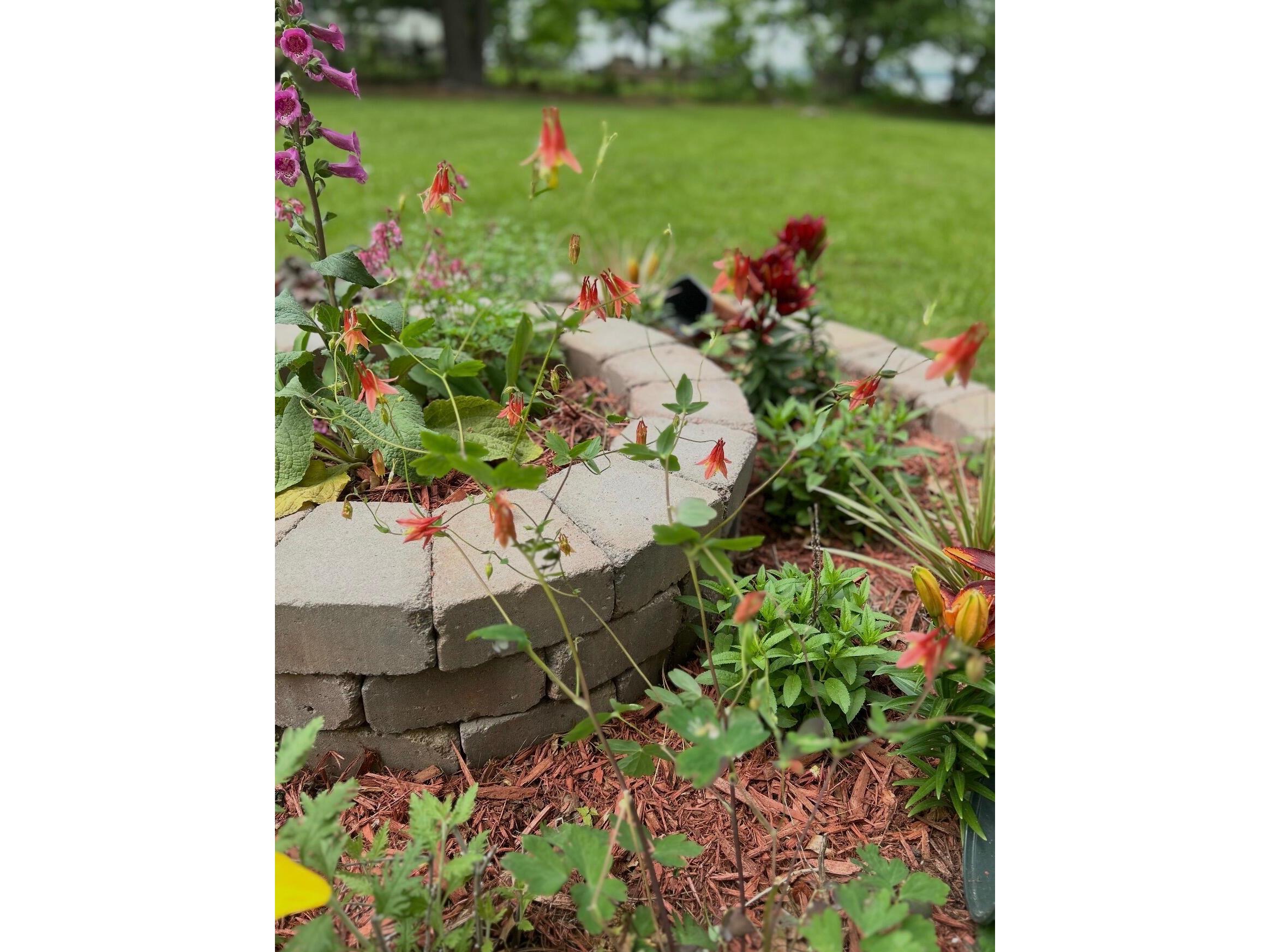 2608B 7 1/4 Chetek WI 54728 1962406 image51