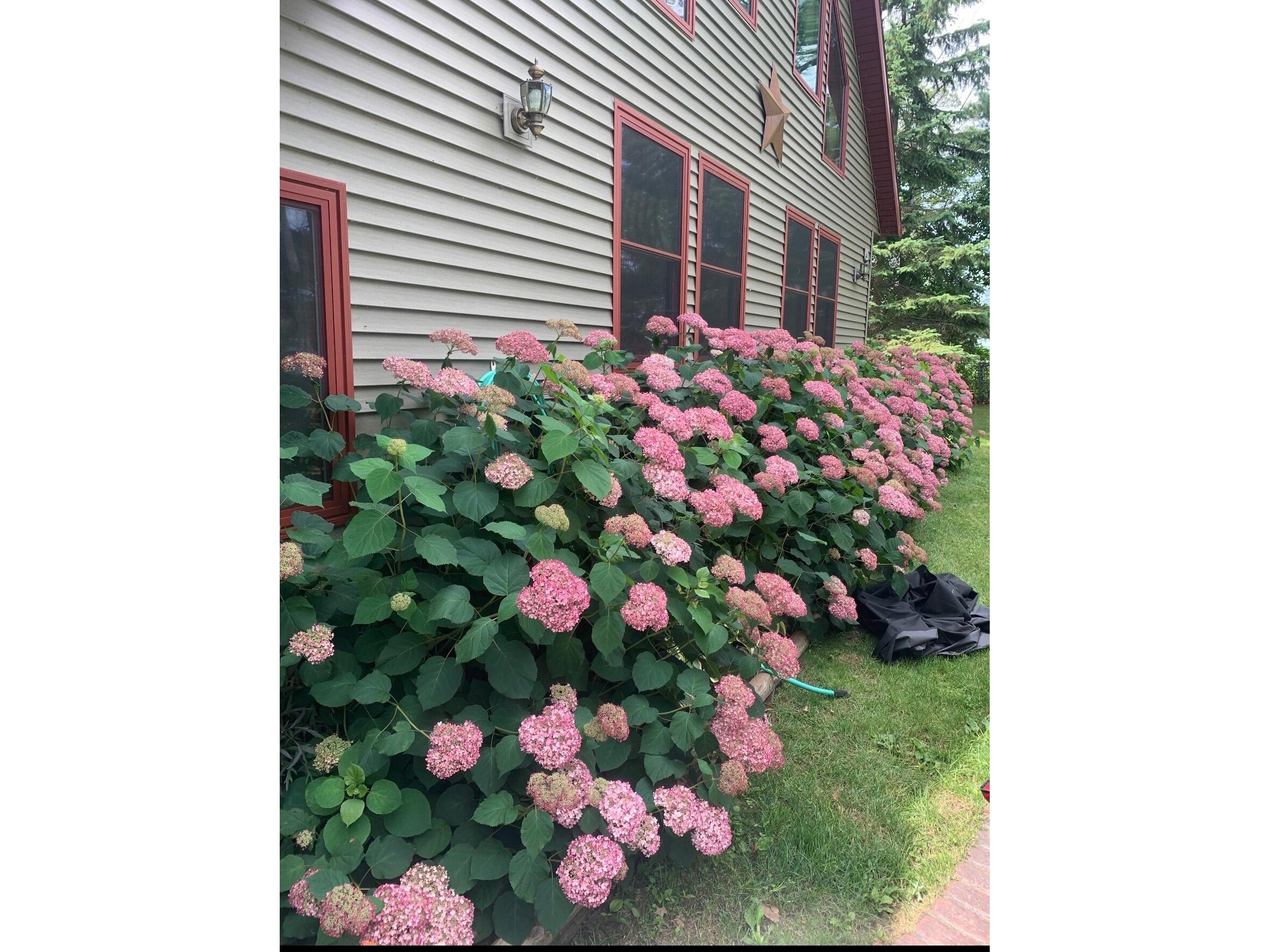 2608B 7 1/4 Chetek WI 54728 1962406 image54
