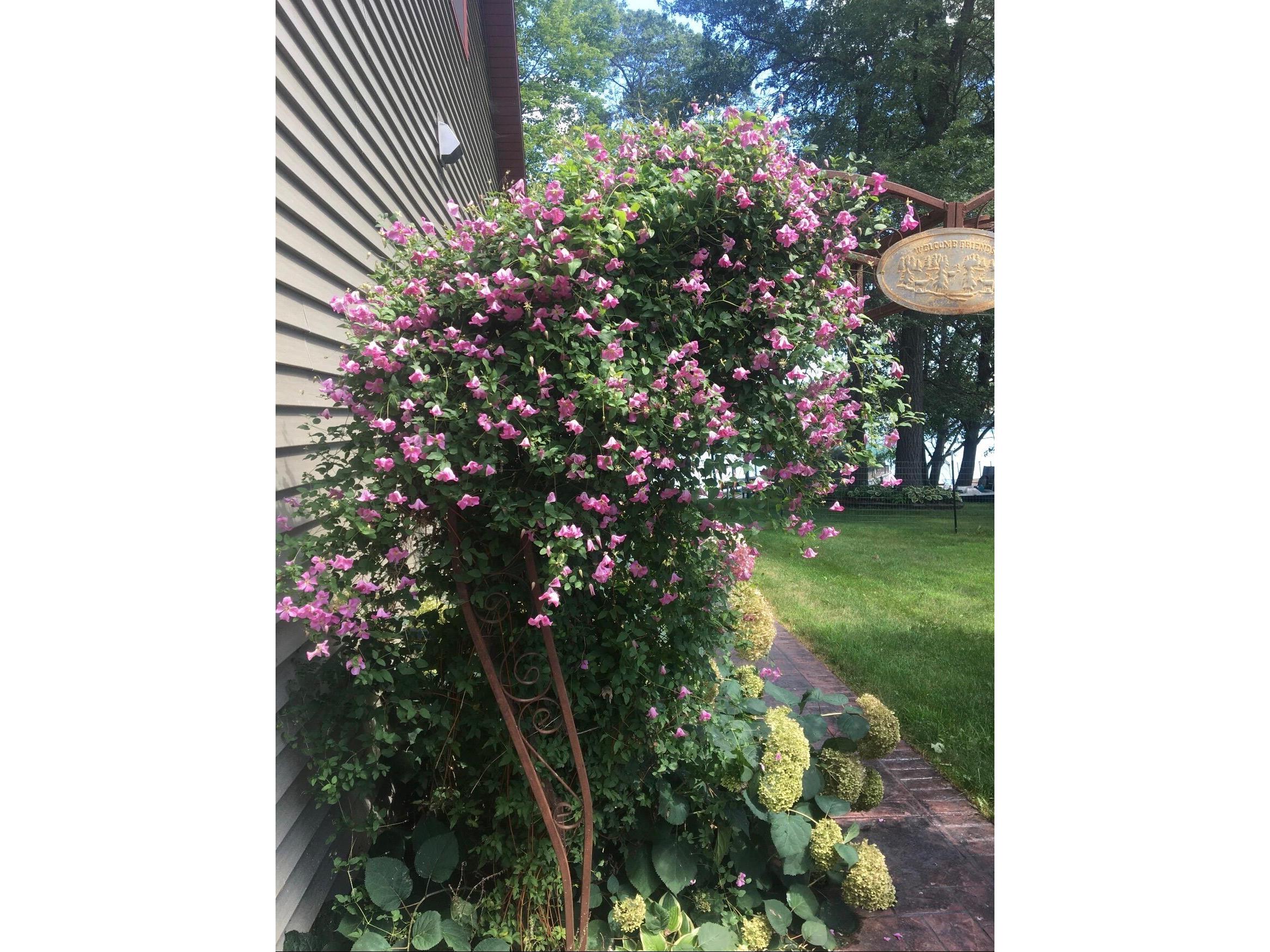 2608B 7 1/4 Chetek WI 54728 1962406 image55