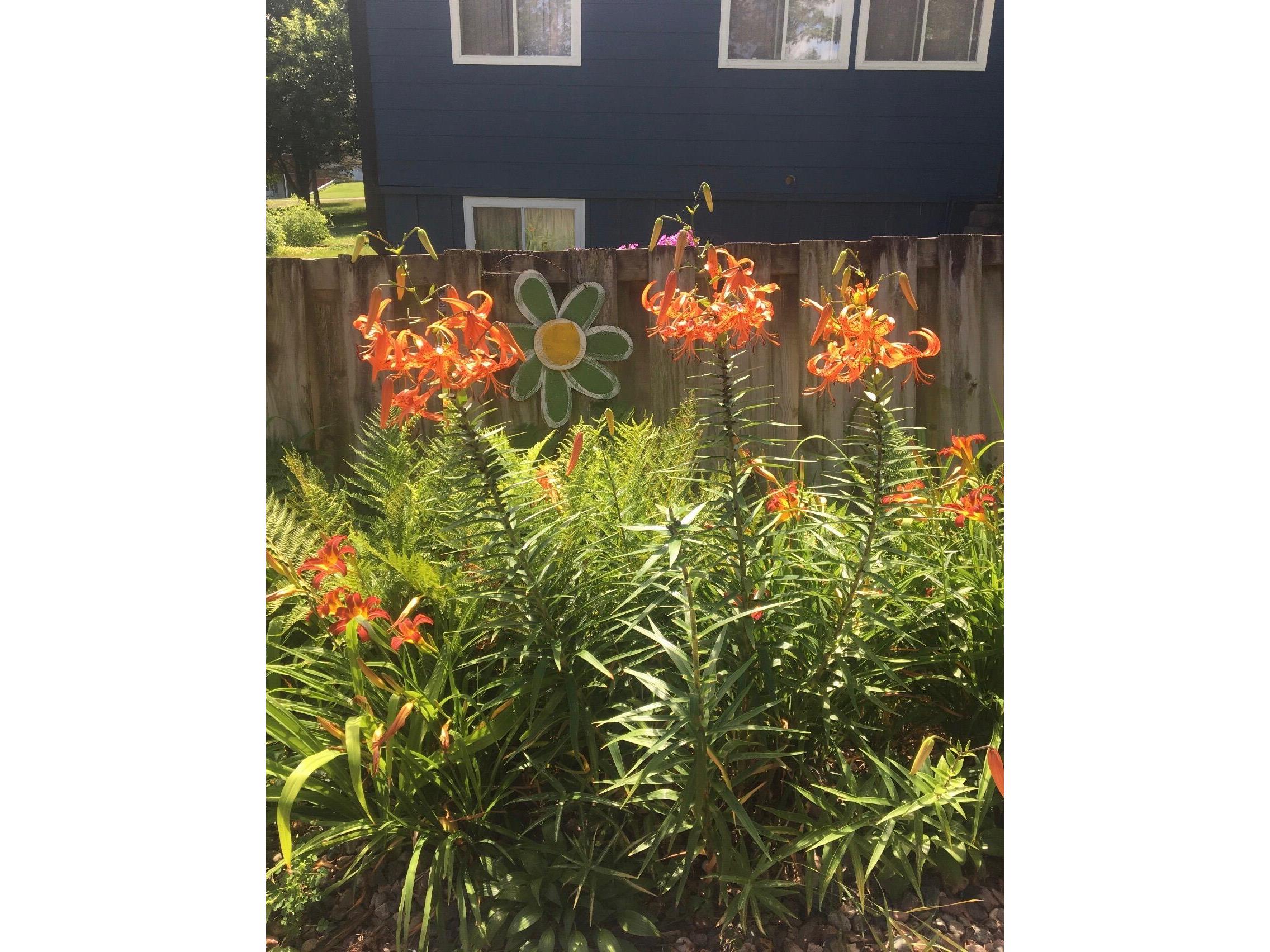 2608B 7 1/4 Chetek WI 54728 1962406 image56
