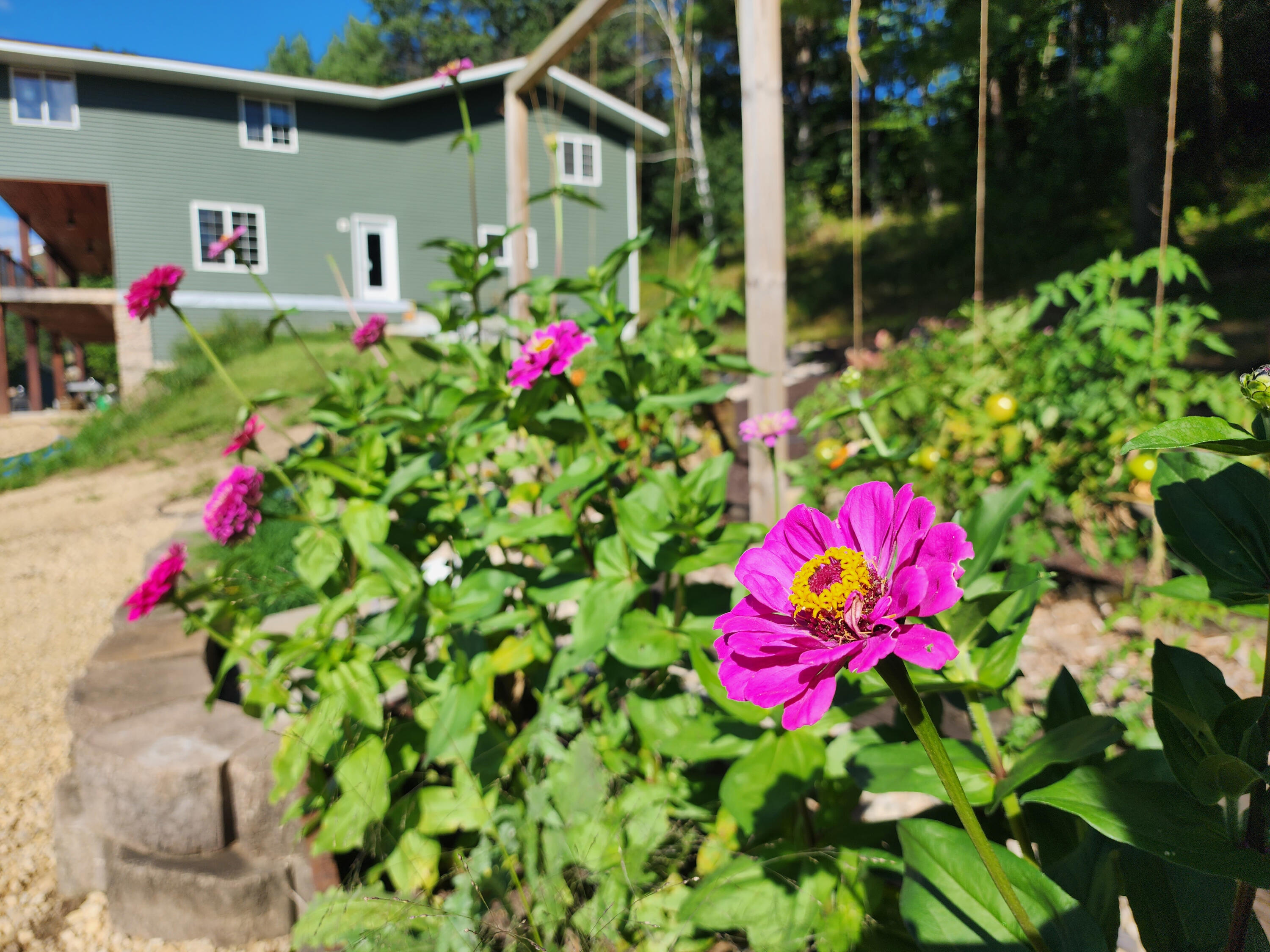 26350 Drake Henrietta WI 53924 - Soules Creek 1938197 image63