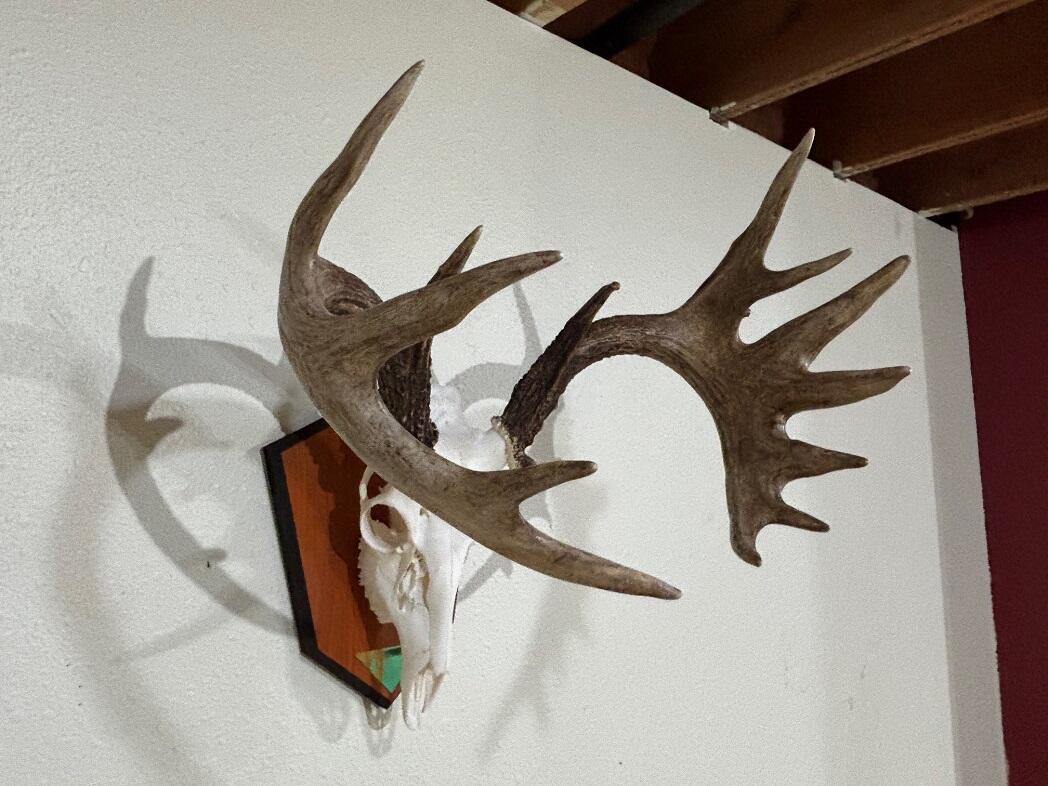 28890 County 25 Rushford MN 55962 1949930 image38