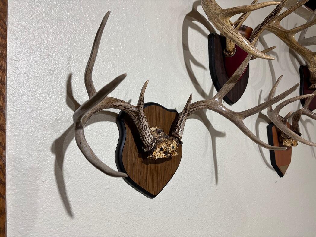 28890 County 25 Rushford MN 55962 1949930 image40